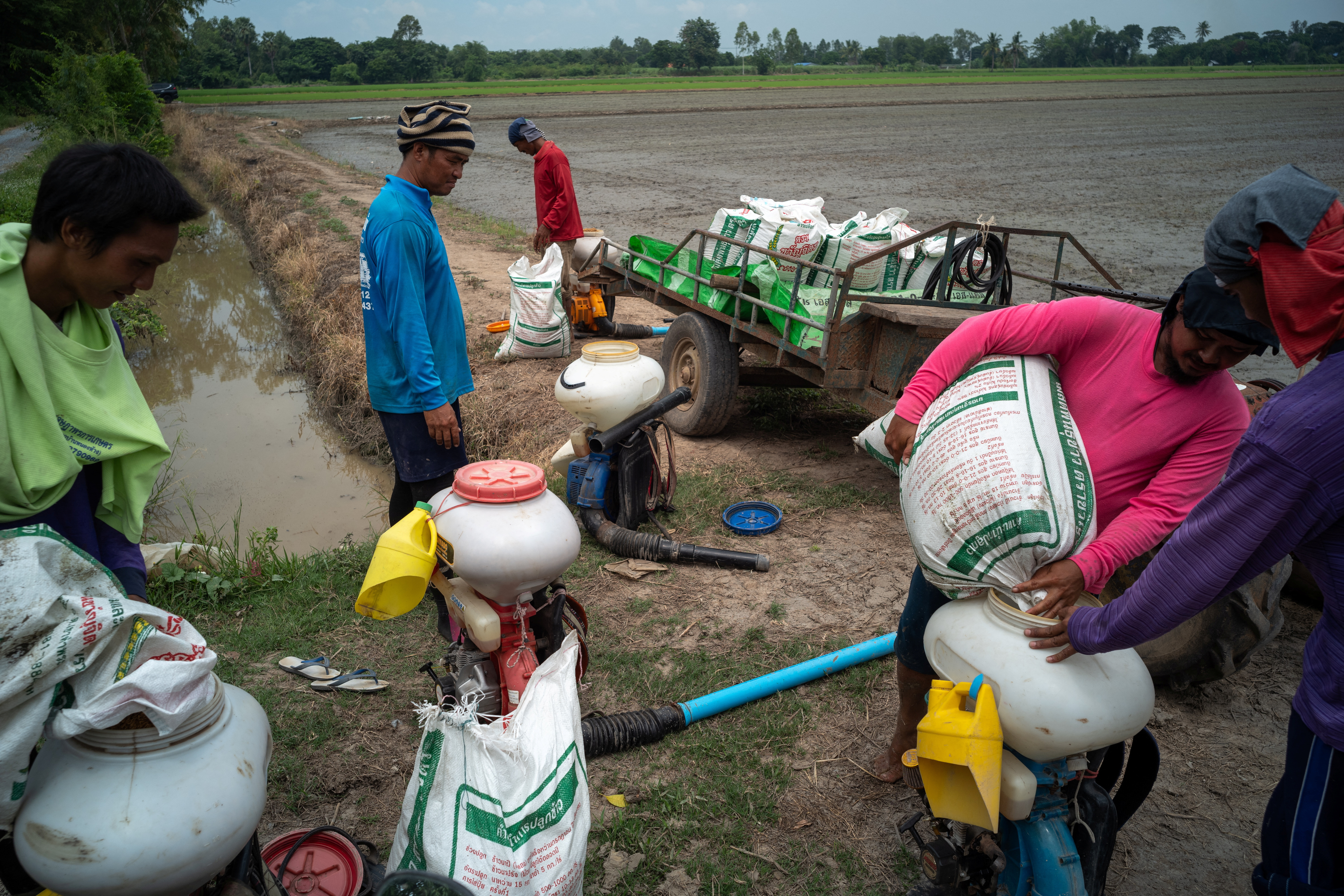 Thai rice farmers choose a risky path, trapped between debt and drought