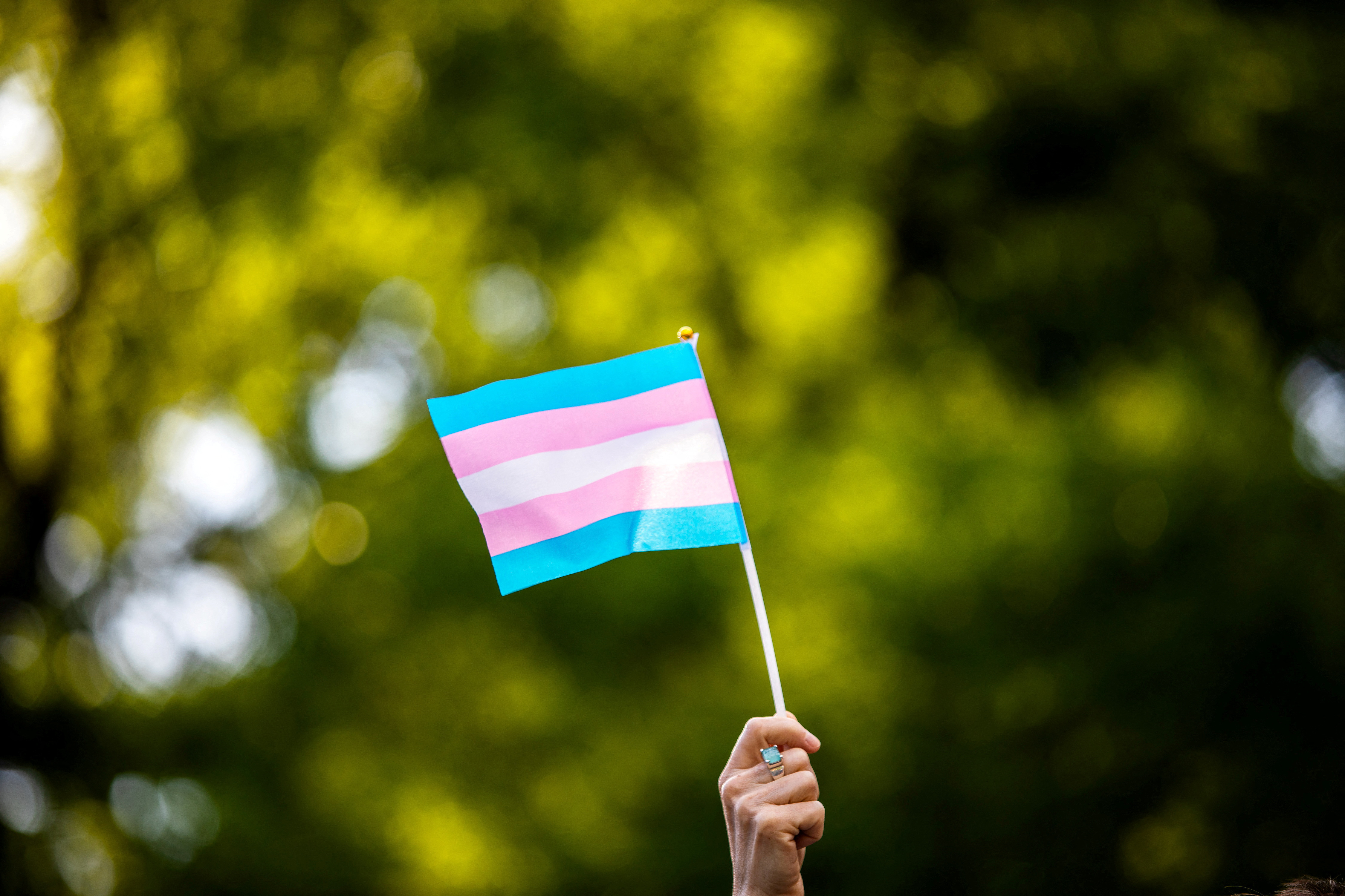 Transgender rights activist waves a transgender flag