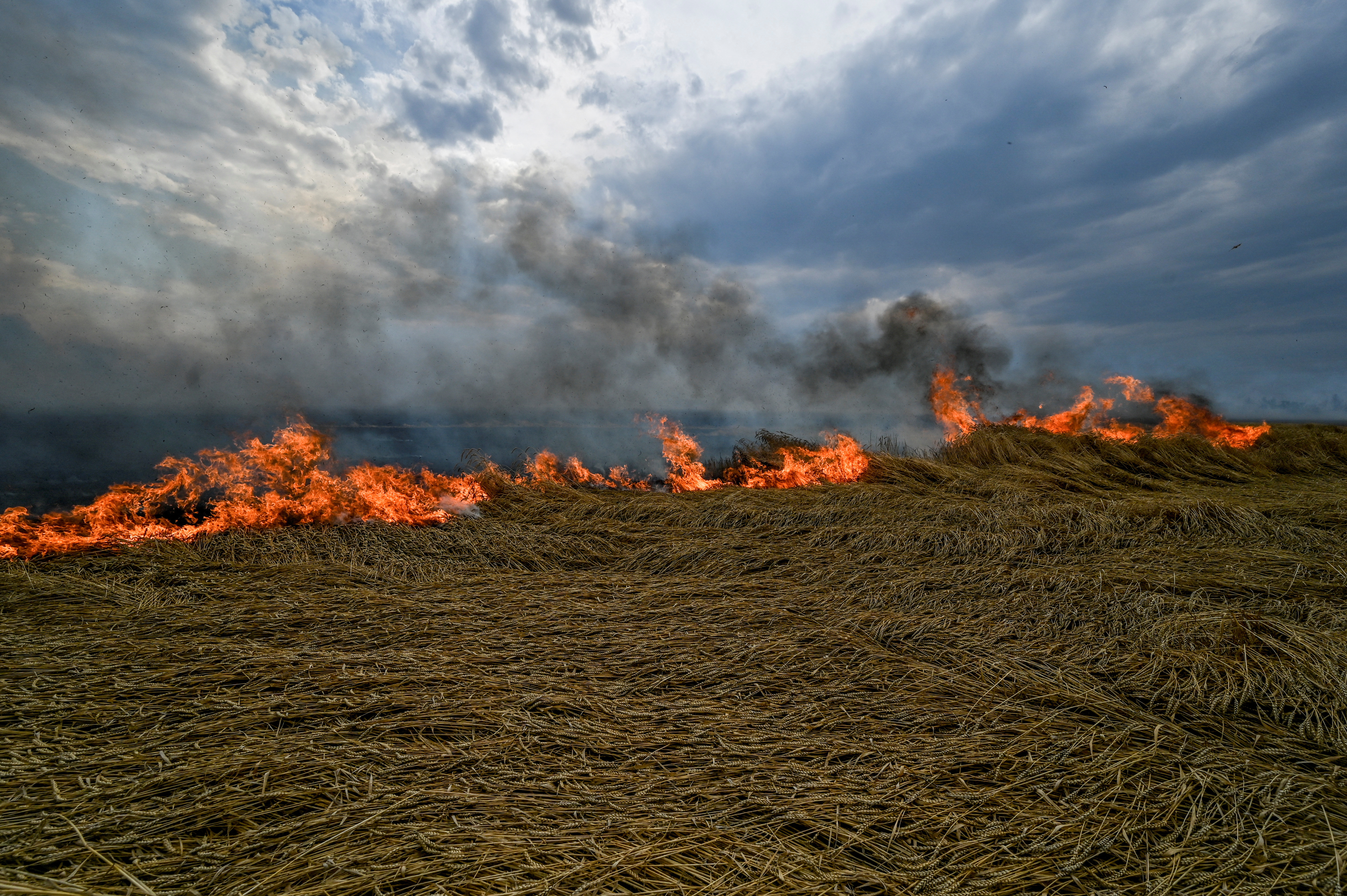 A burning wheat field is seen near a frontline on a border between Zaporizhzhia and Donetsk regions