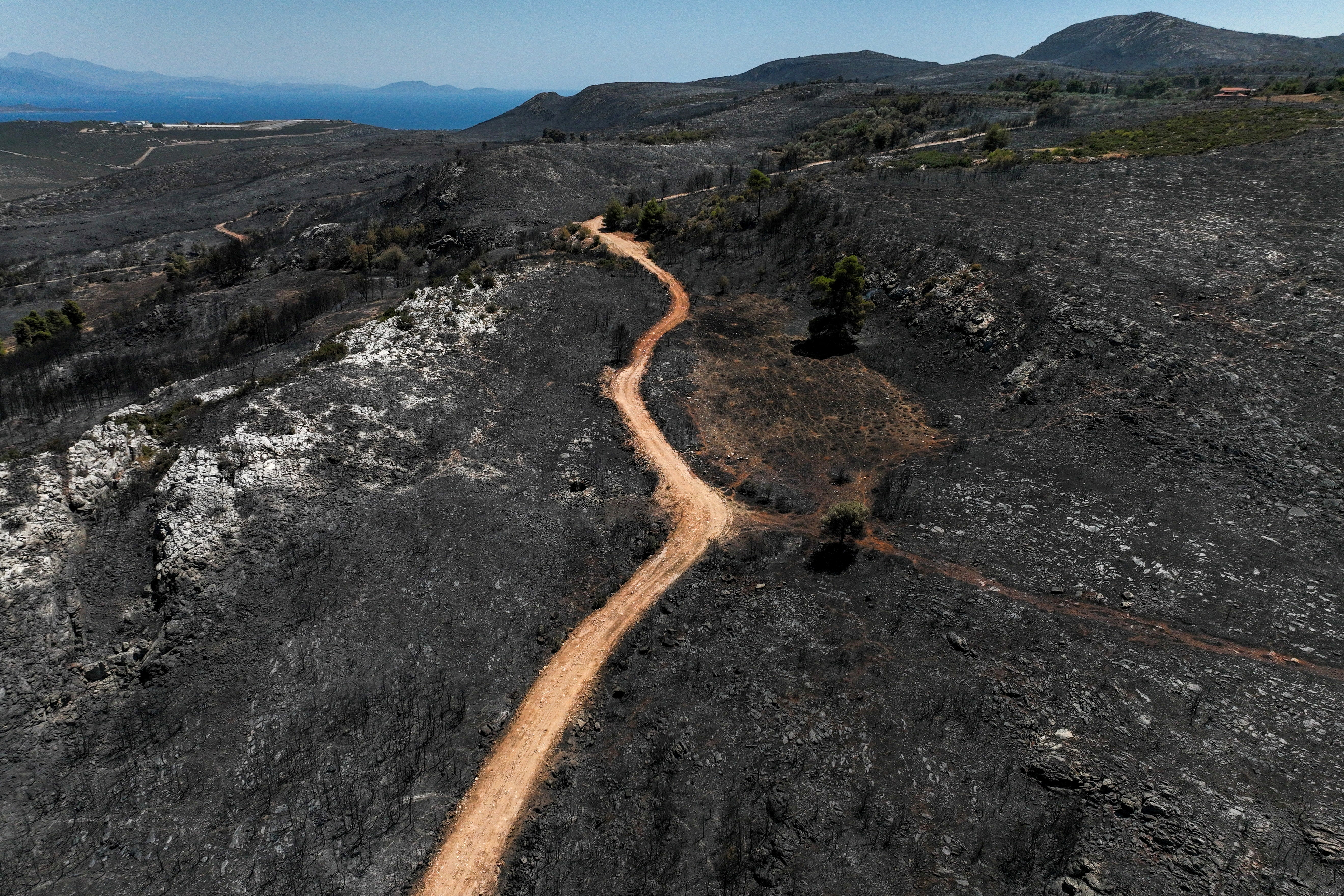 Aftermath of a wildfire in Marathon near Athens