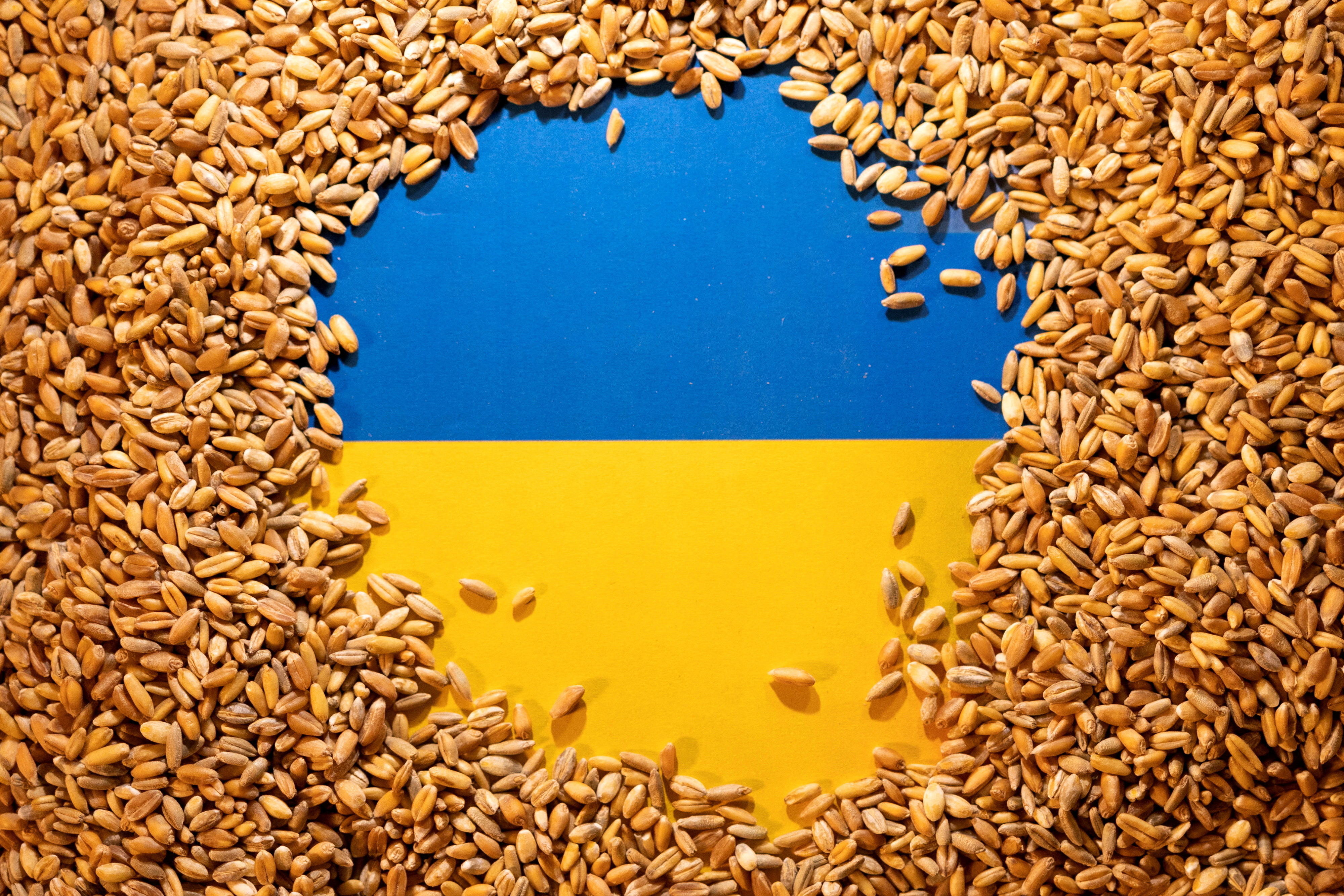 La ilustración muestra la bandera y el grano de Ucrania