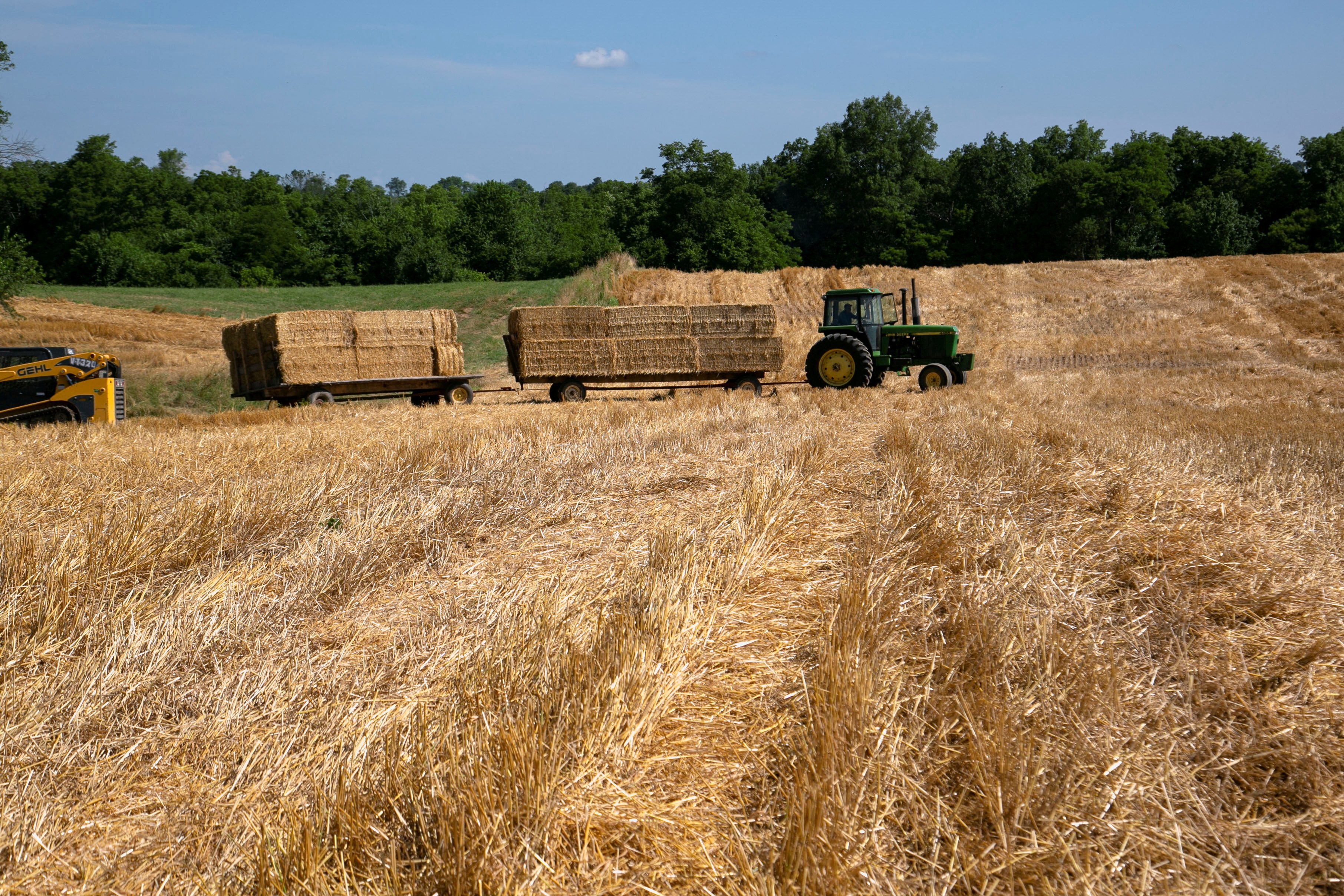 Wheat harvest in Kentucky