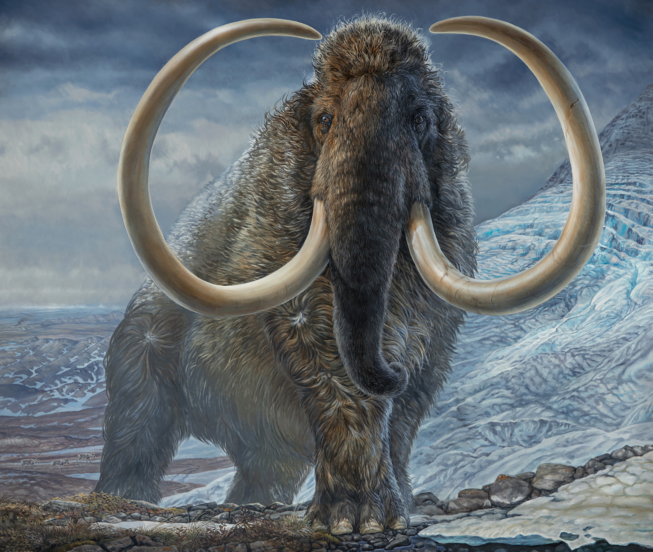 An illustration of an adult male woolly mammoth navigating a mountain pass in Arctic Alaska, 17,100 years ago