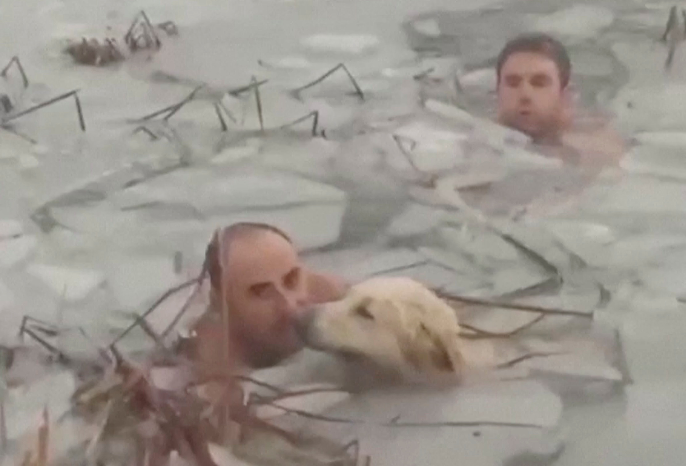 Police rescue dog from frozen reservoir as cold front hits Spain