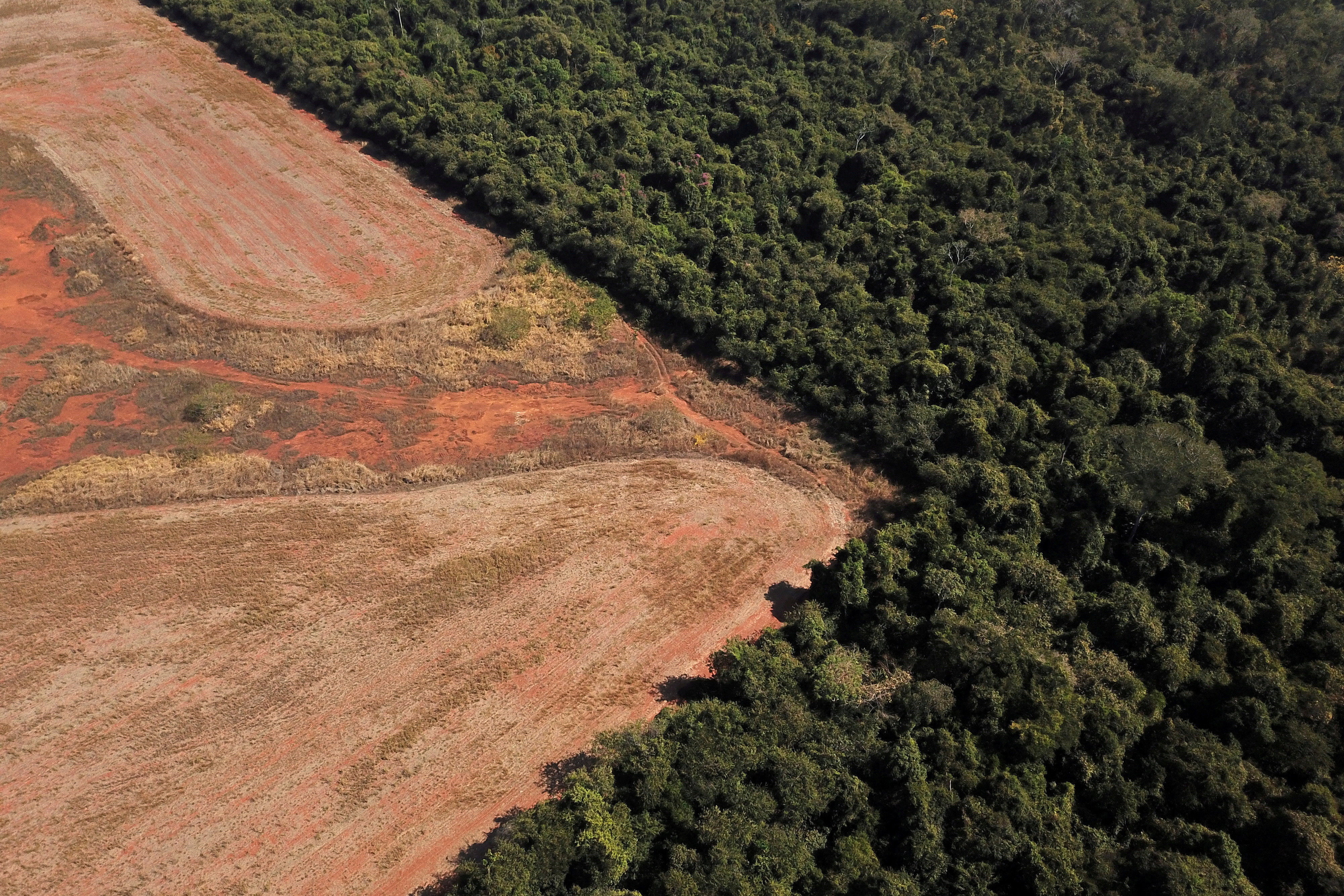 An aerial view shows deforestation near a forest on the border between Amazonia and Cerrado in Nova Xavantina, Mato Grosso state, Brazil July 28, 2021. Picture taken July 28, 2021 with a drone. REUTERS/Amanda Perobelli//File Photo