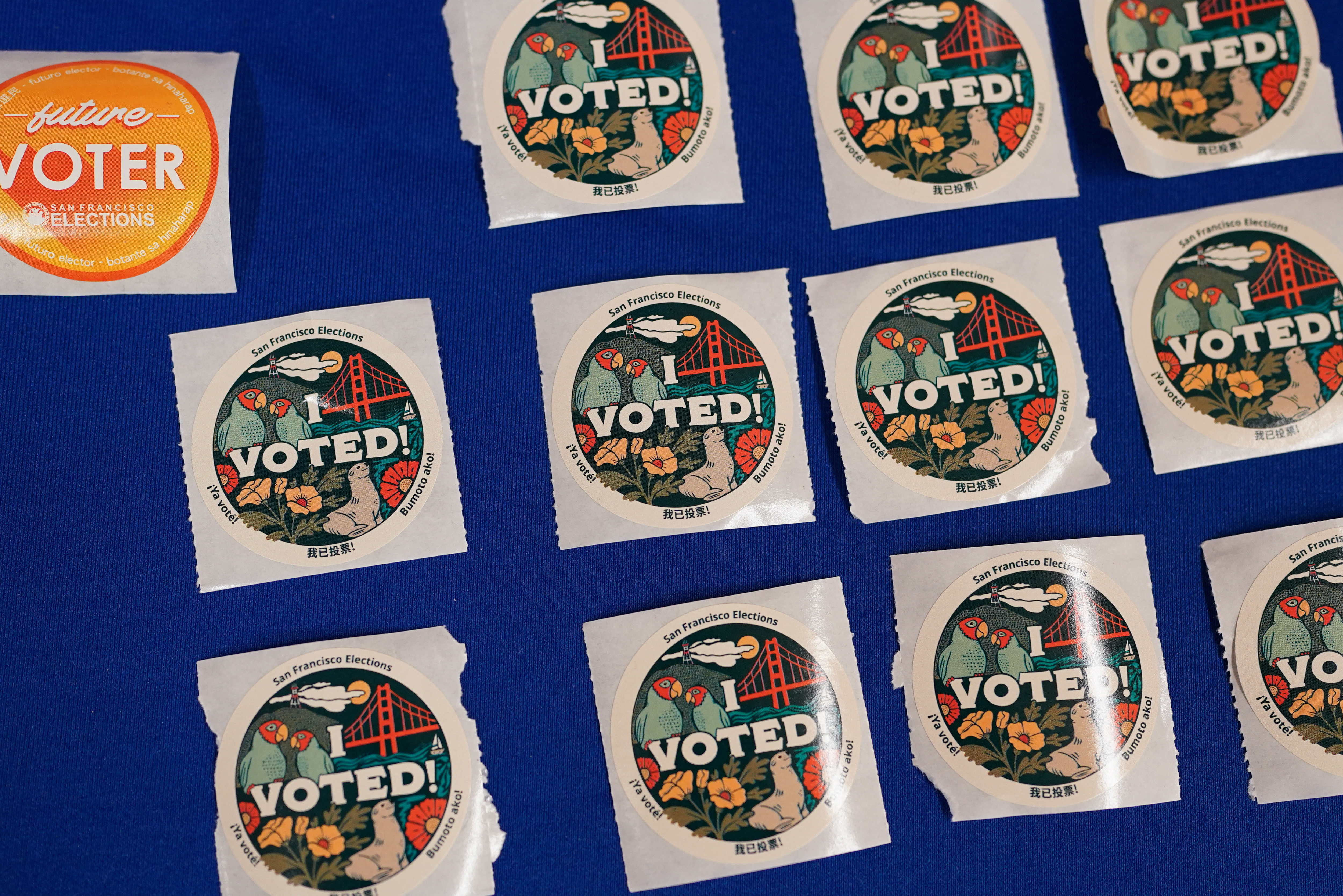 Voters cast their ballots during early voting at San Francisco City Hall