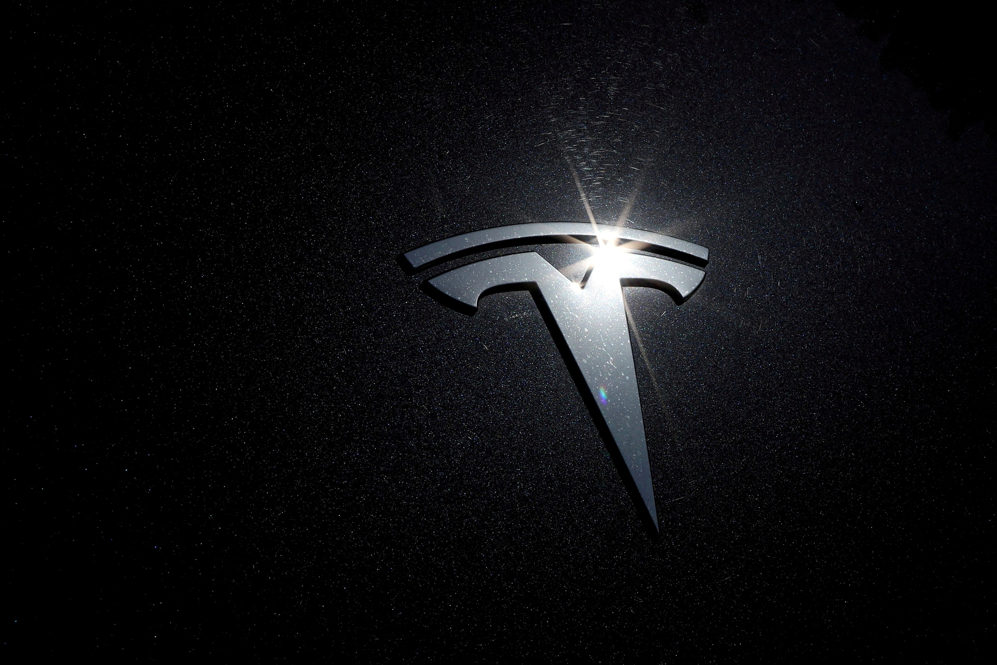 Tesla stock extends rally as MuskTrump alliance fuels gains Reuters