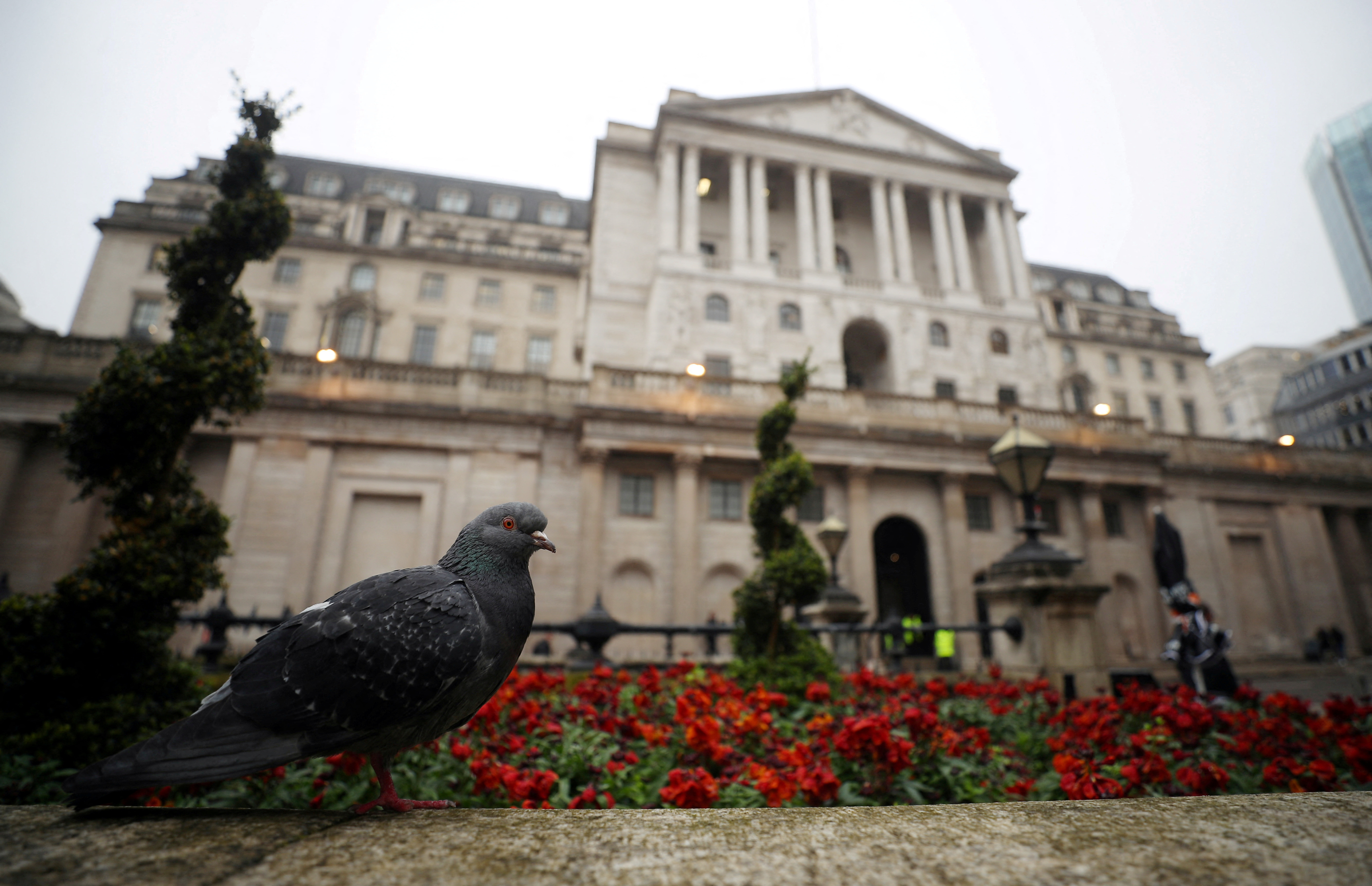 A pigeon stands in front of the Bank of England in London