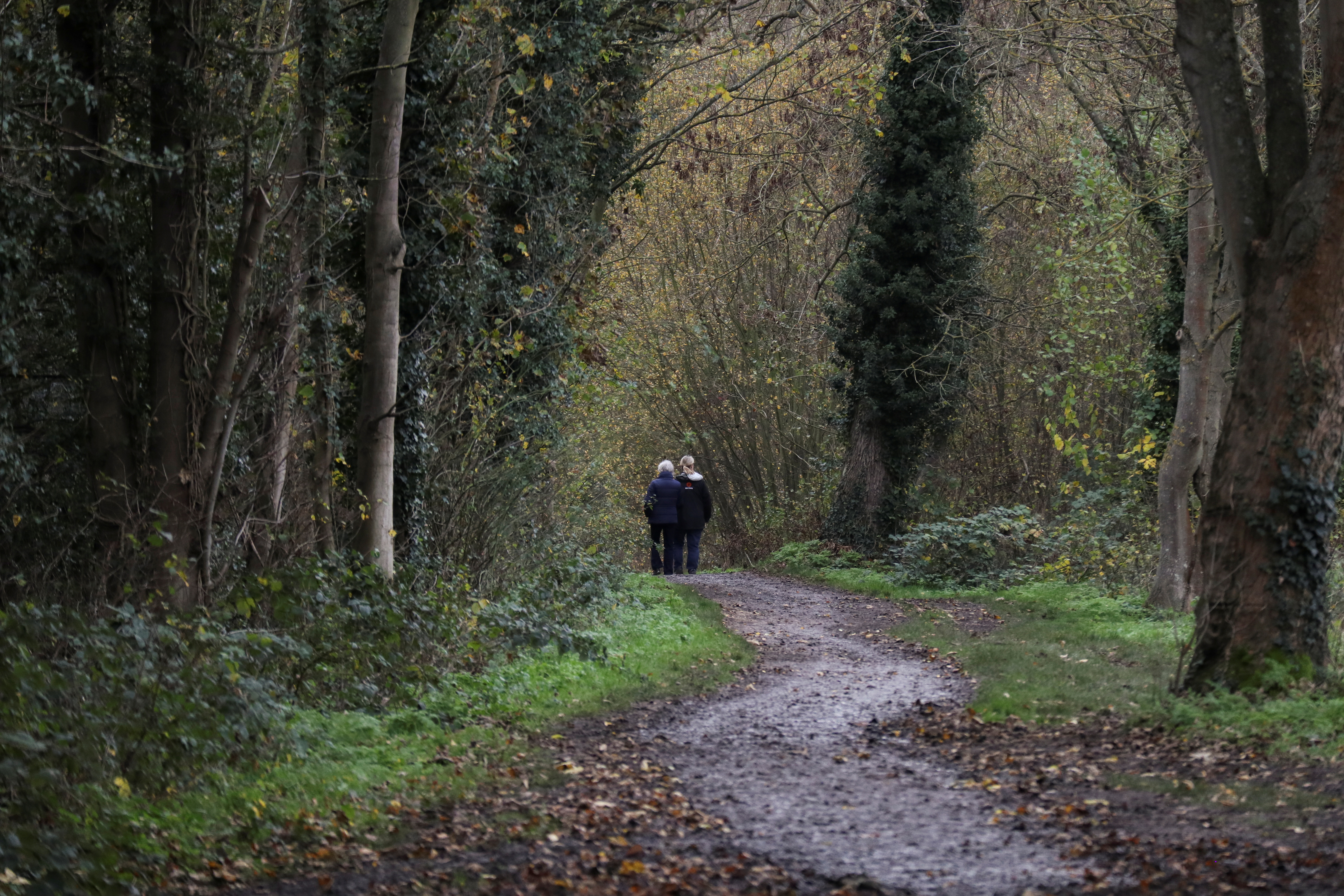 Pensioners walk through woodland during lockdown amid the coronavirus (COVID-19) outbreak, in London