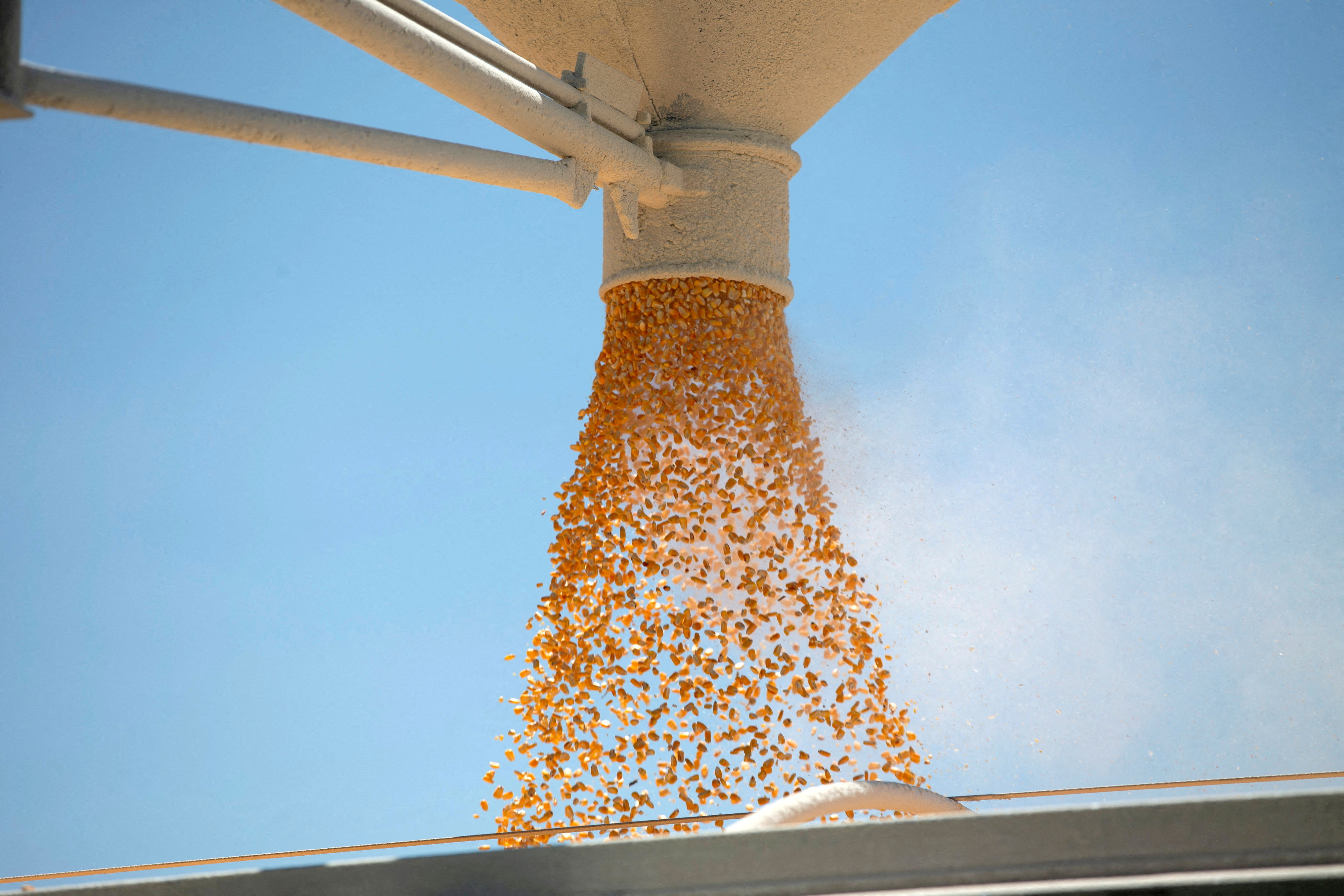 Corn is loaded onto a truck as a silo is emptied at a farm in Tiskilwa, Illinois
