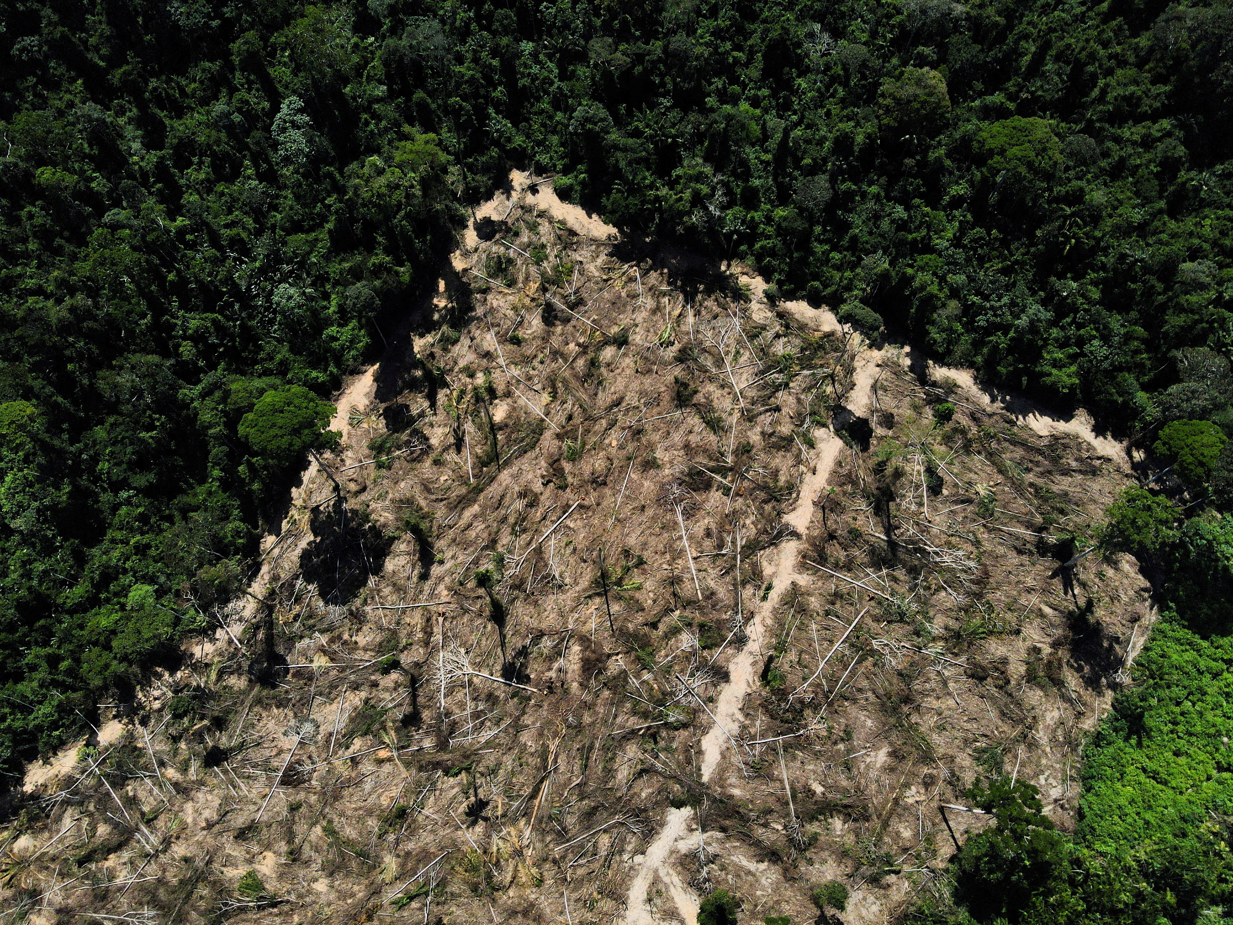 A view of a deforested area in the middle of the Amazon forest in the municipality of Uruara, Para, Brazil