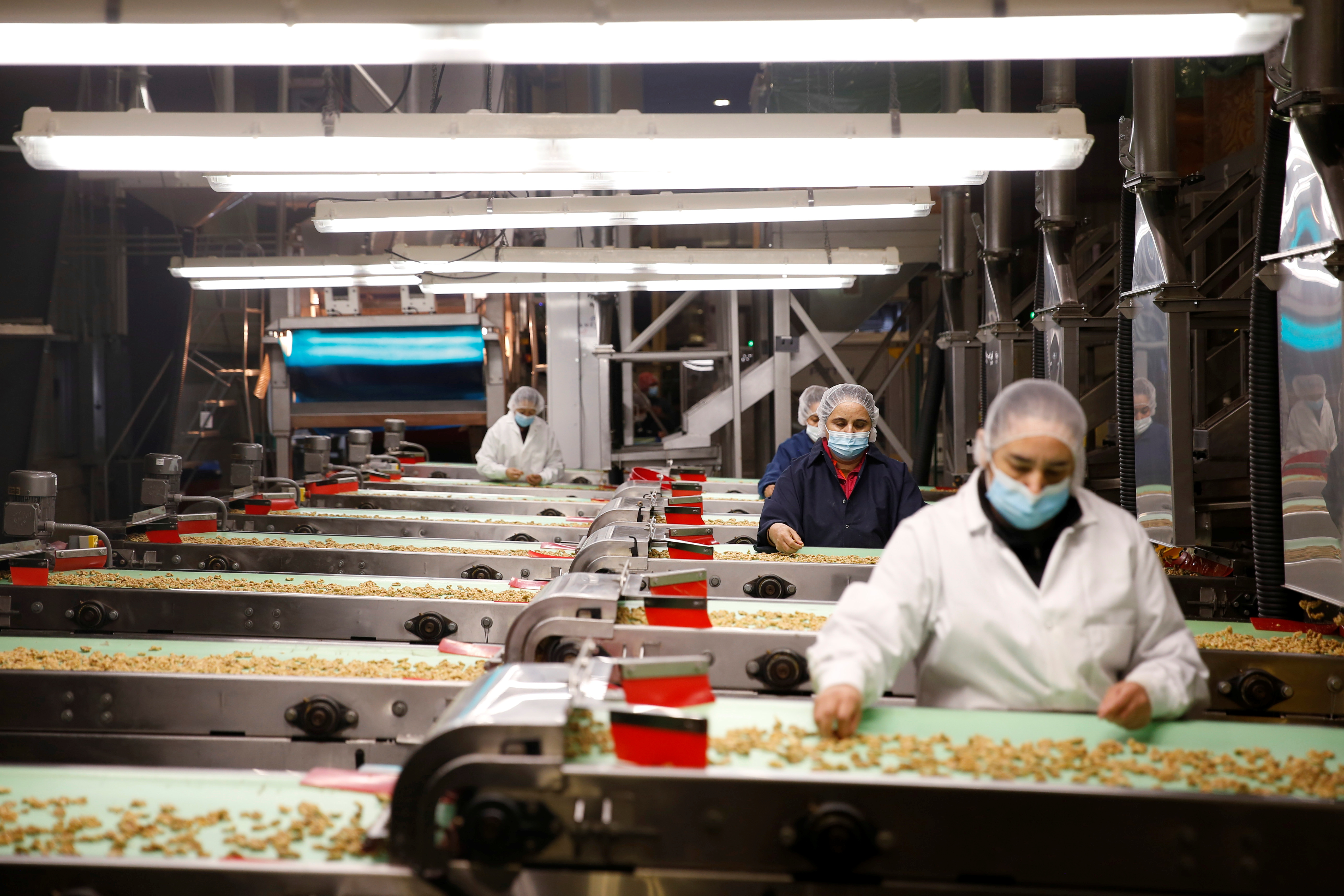 Workers hand sort shelled walnuts along conveyor belts at GoldRiver Orchards, a family-owned walnut producer in Escalon, California, U.S. November 16, 2021.   REUTERS/Brittany Hosea-Small