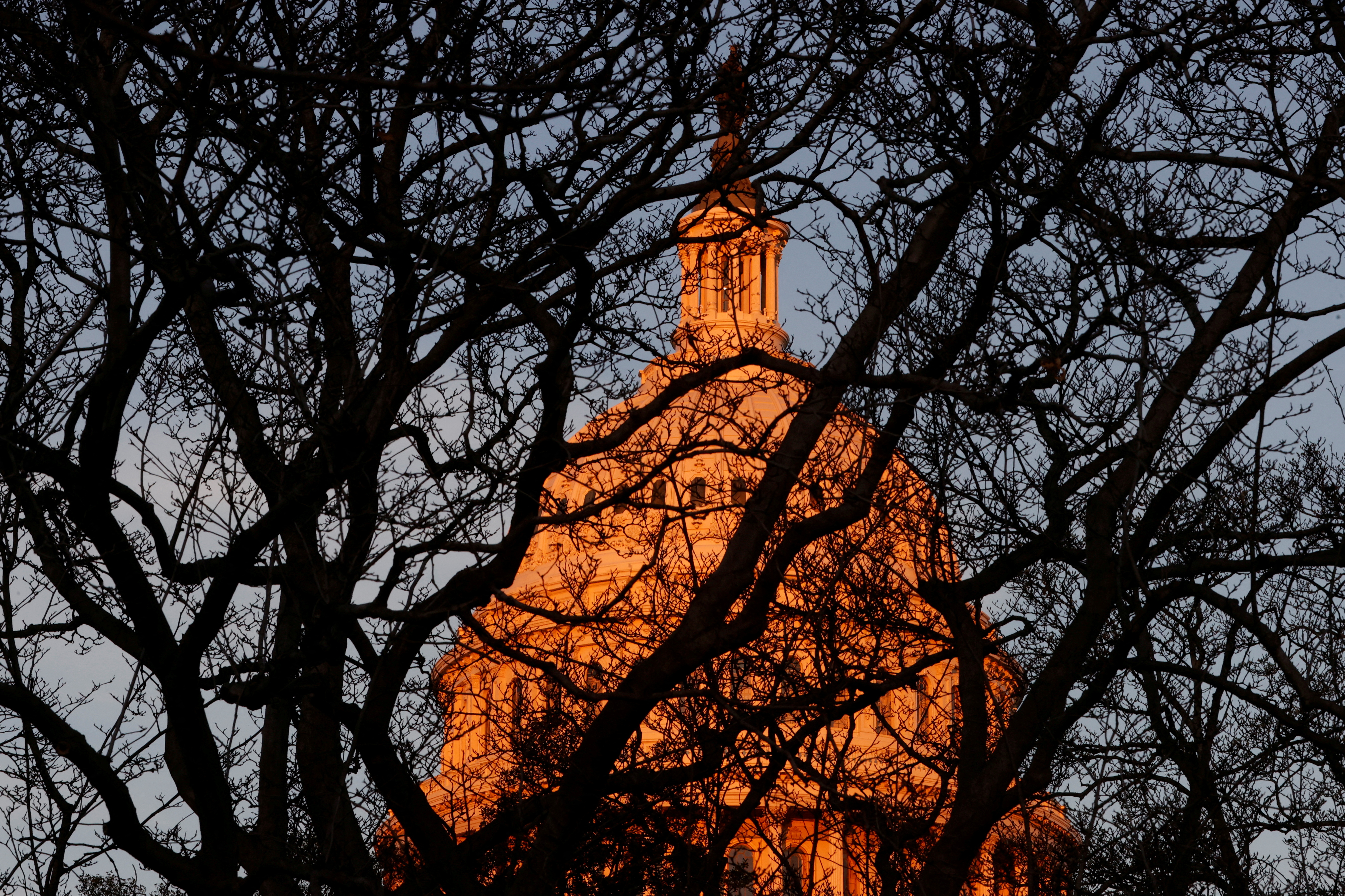 Seen through a thicket of tree branches, the U.S. Capitol dome glows with the sunset in Washington