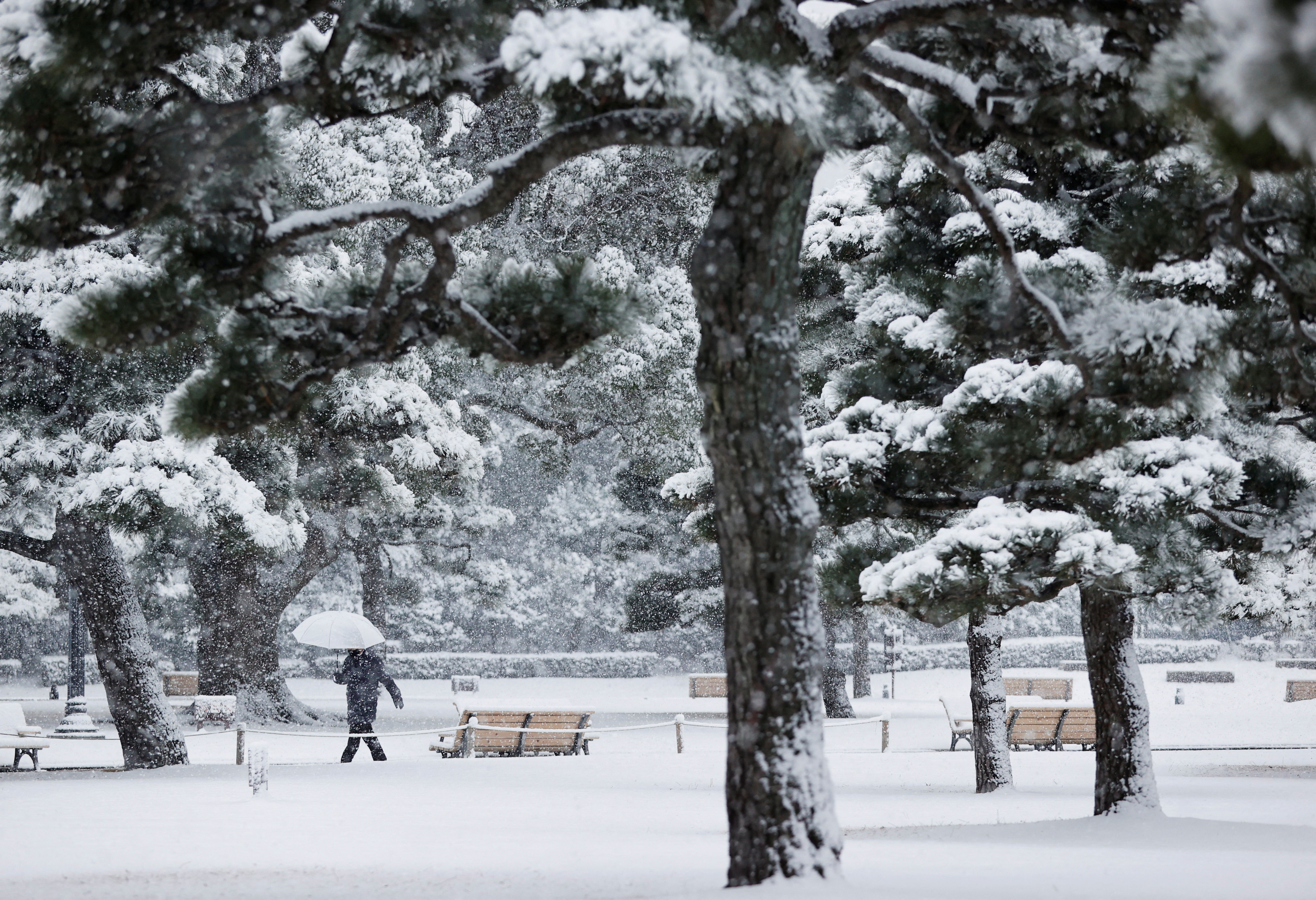 Tokyo hit by heaviest snow since 2014 - The Japan Times