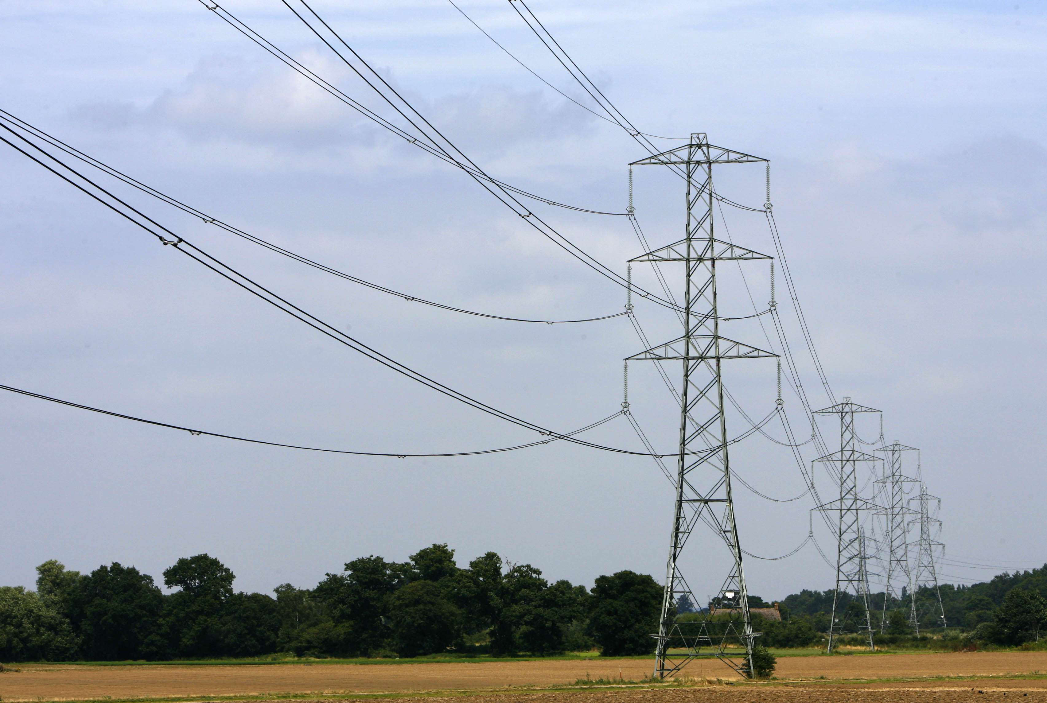 FILE PHOTOl Electricity pylons are pictured near Cobham in Surrey, southern England July 25, 2008. REUTERS/Luke MacGregor