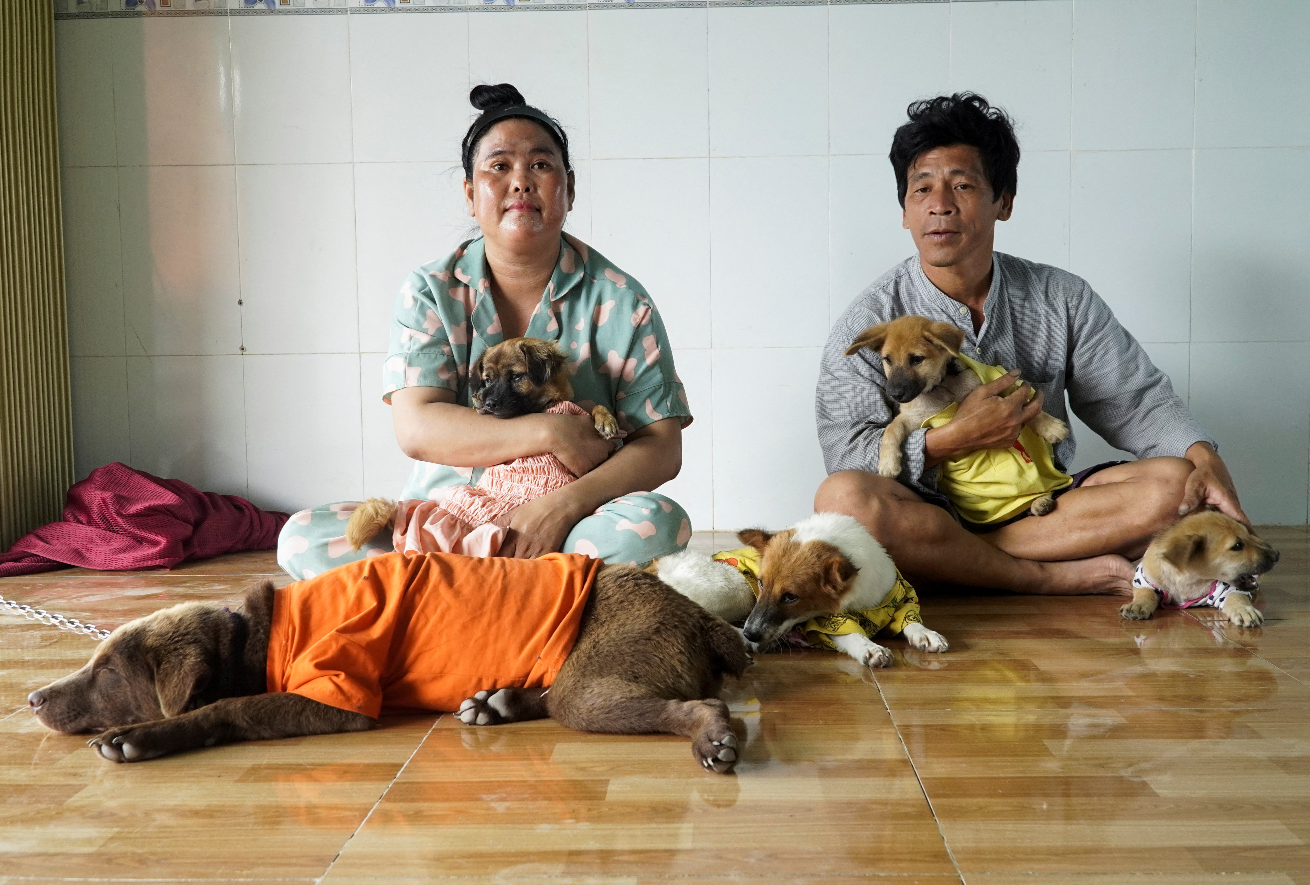 Vietnam couple adopt new dogs after 15 dogs were culled while they were in hospital