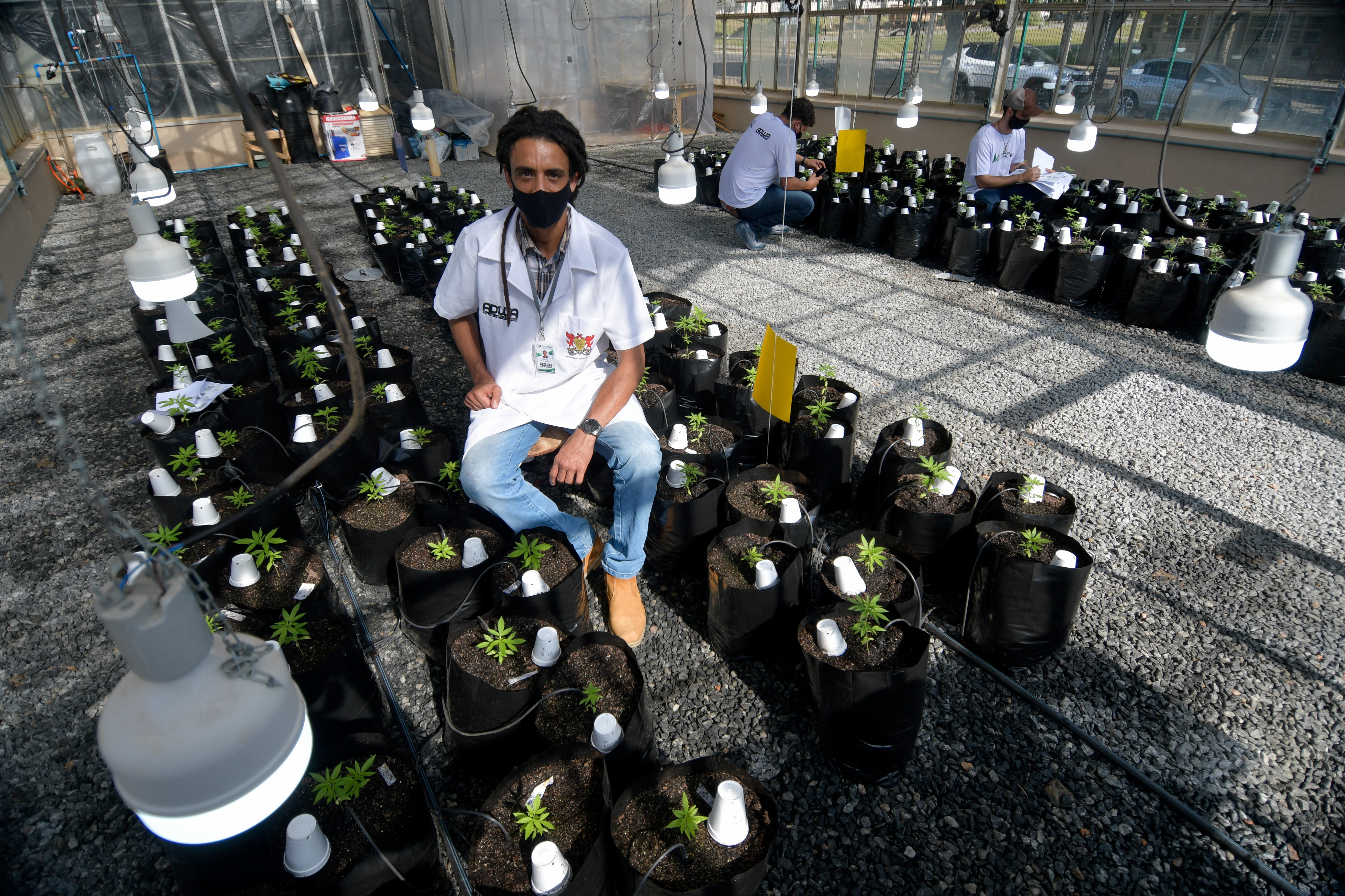 Agronomist Engineer Sergio Rocha, 36, Executive Director of the cannabis cultivation for research and cultivation project, poses for a picture in a greenhouse at the Federal University of Vicosa, Minas Gerais state, Brazil, August 18, 2021. Picture taken August 18, 2021. REUTERS/Washington Alves
