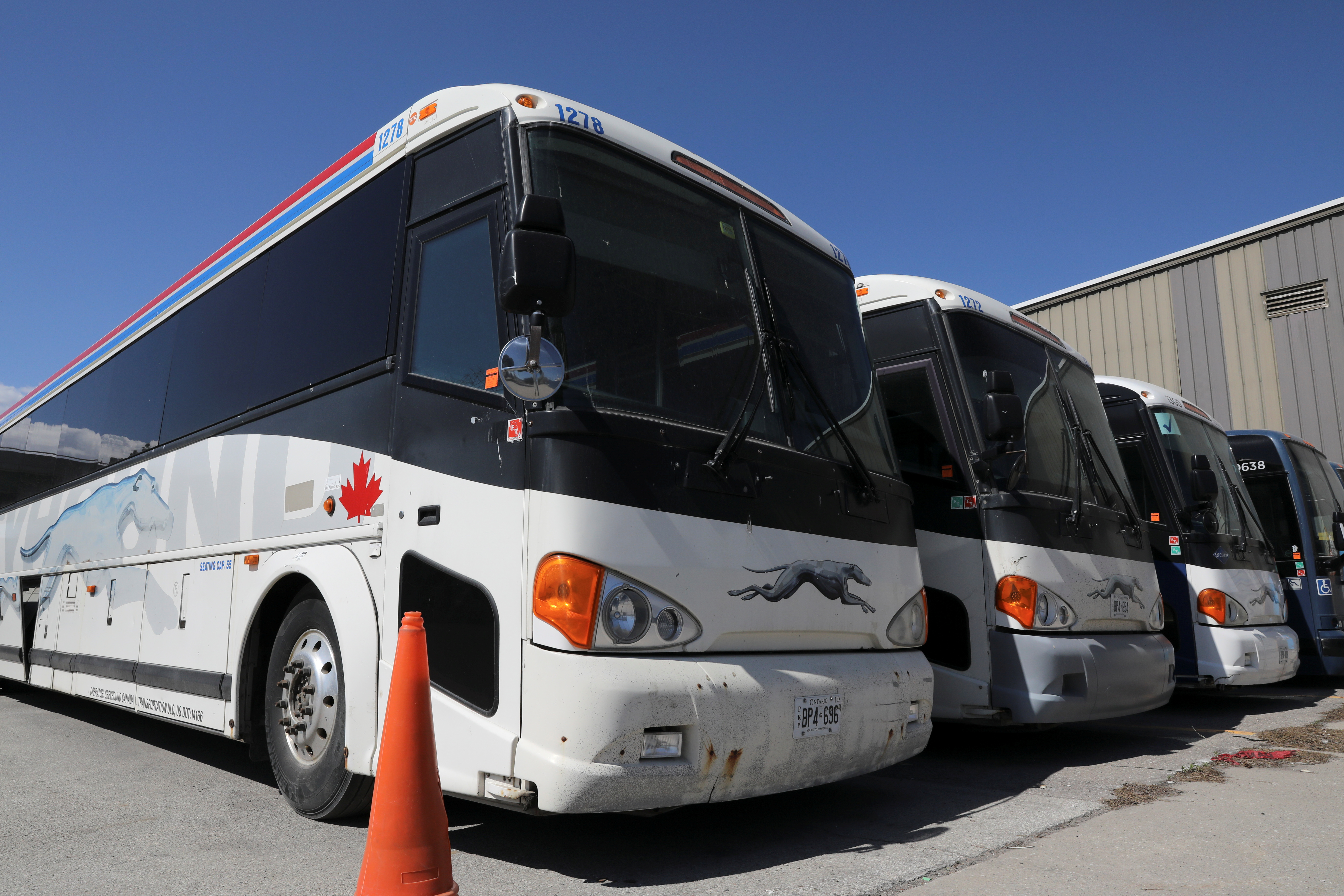 Idle Greyhound buses are parked after the transportation company announced that it had permanently closed its service in Canada