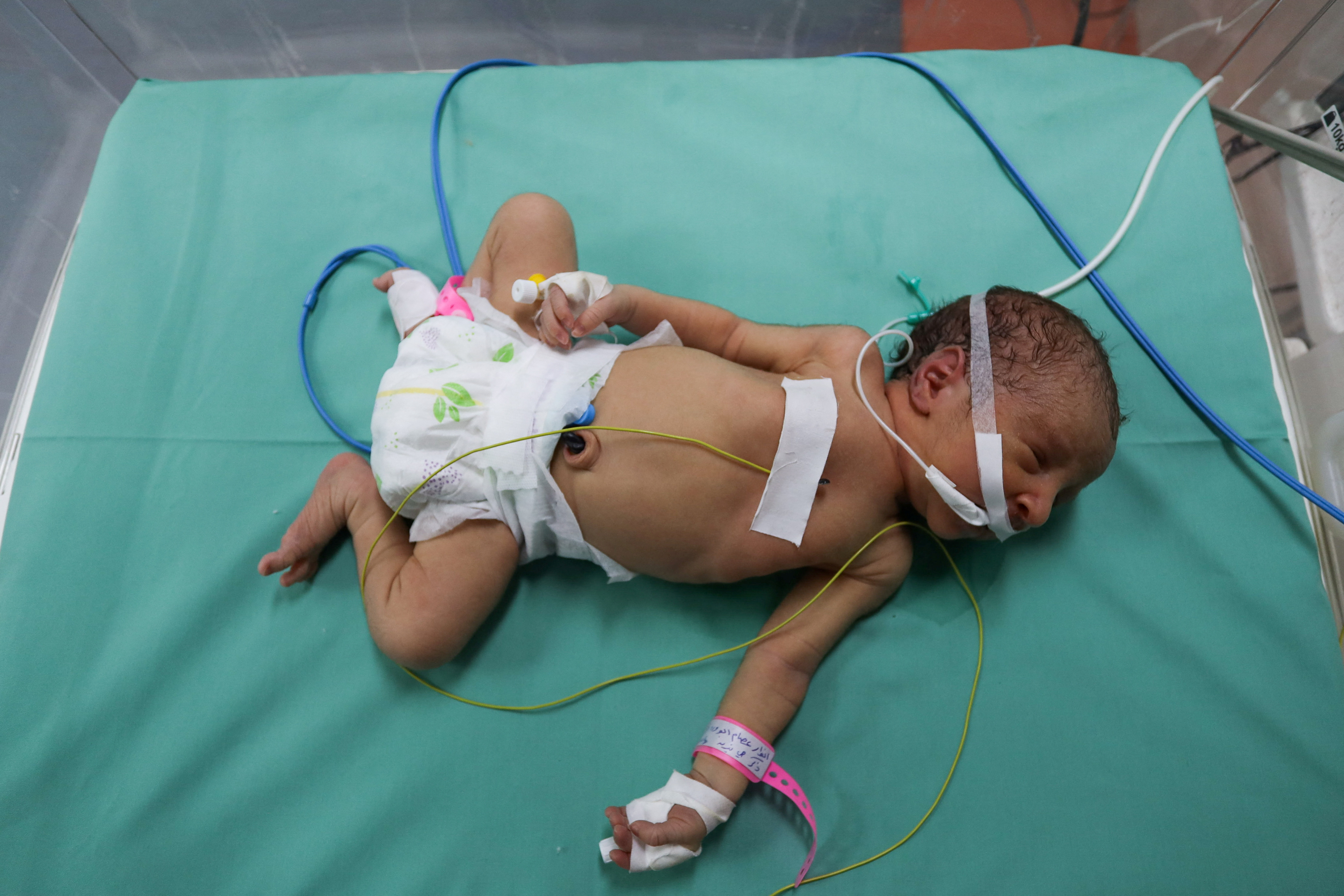 israel Hamas War, Gaza Hospital Babies: Heartbreaking Image From Gaza Shows  Babies Laid Side By Side For Warmth