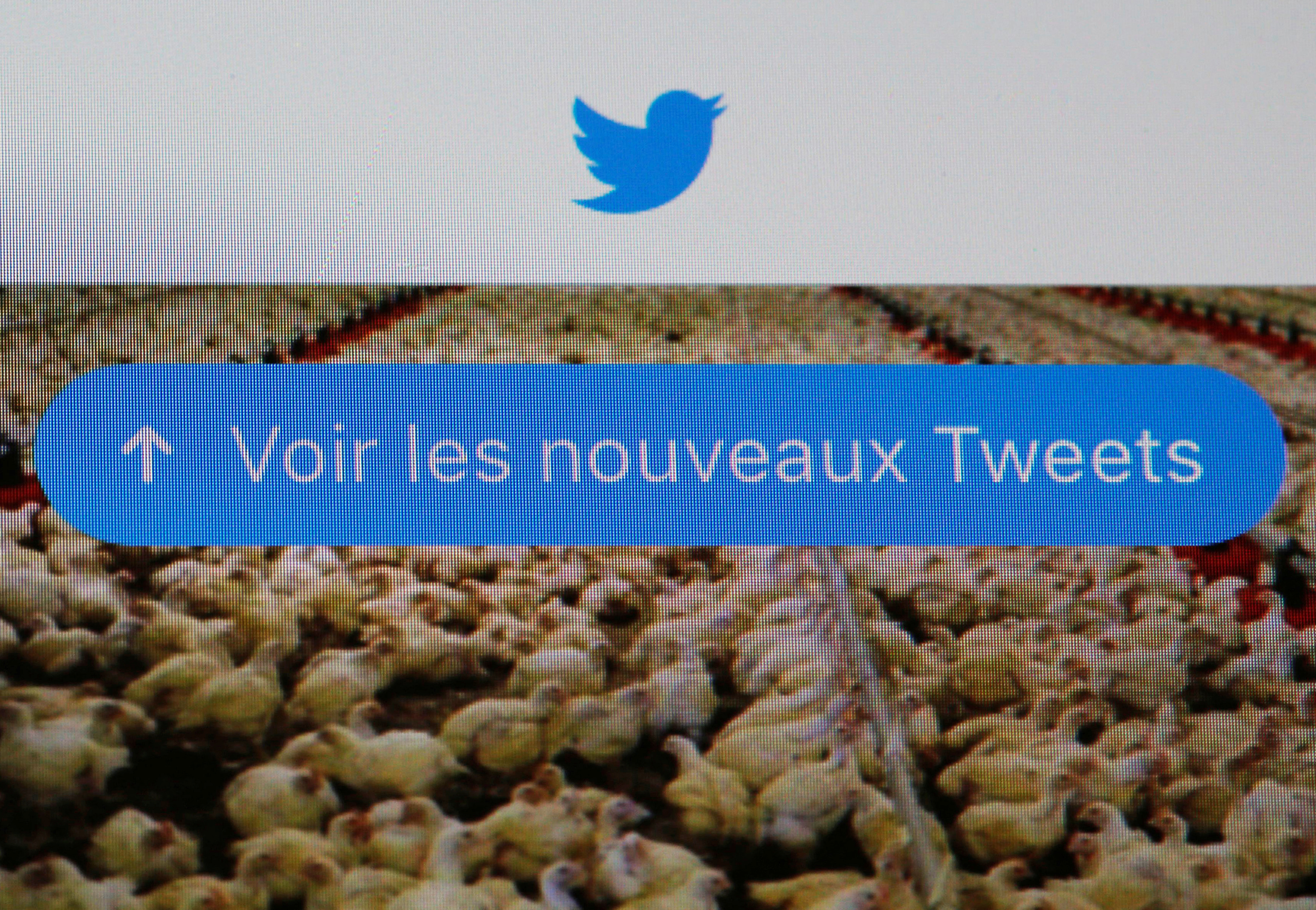 The Twitter website logon page is seen on a iPad screen in this illustration photo taken in Bordeaux