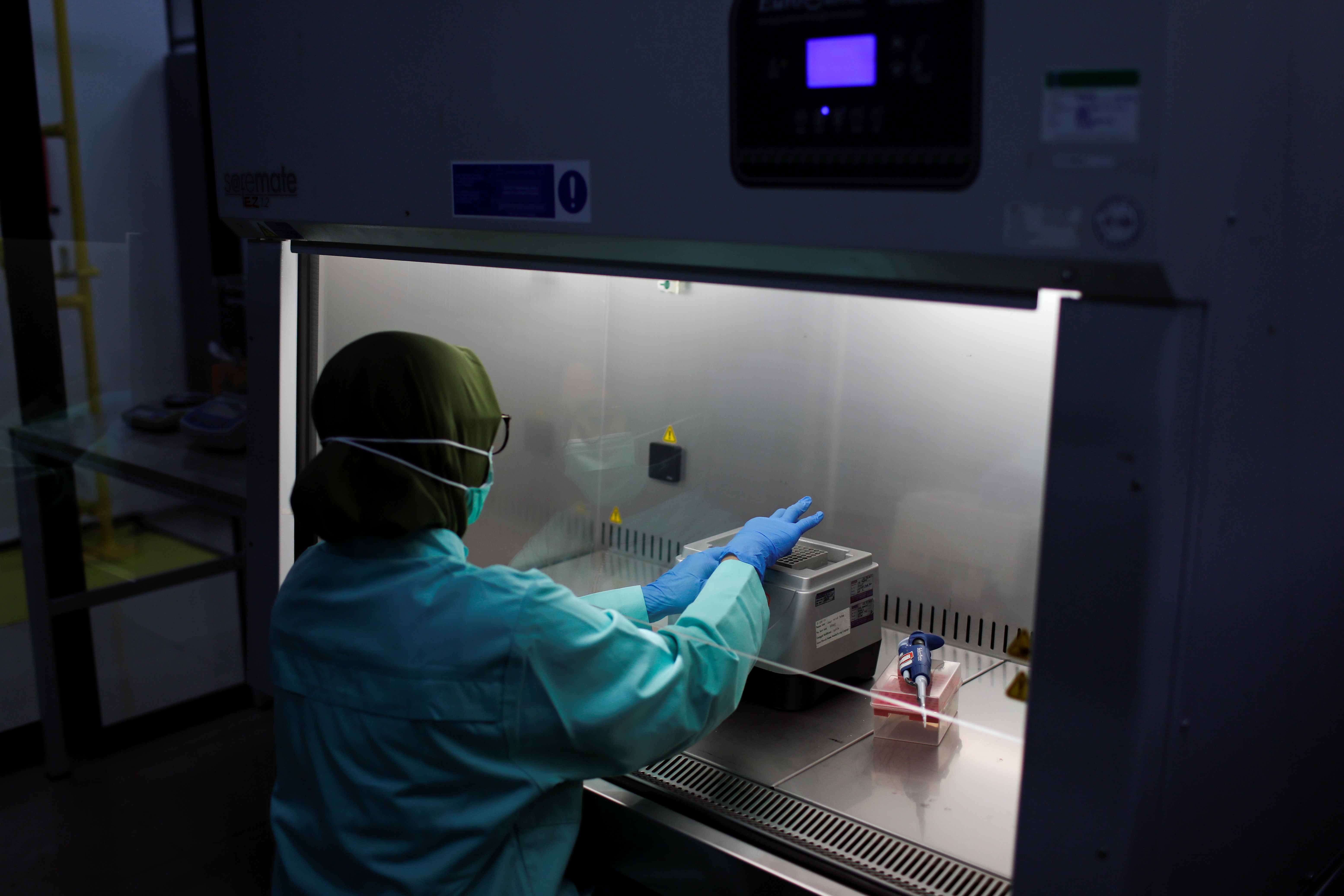 Analyst of Global Halal Centre works using a biosafety cabinet at a laboratorium, in Bogor