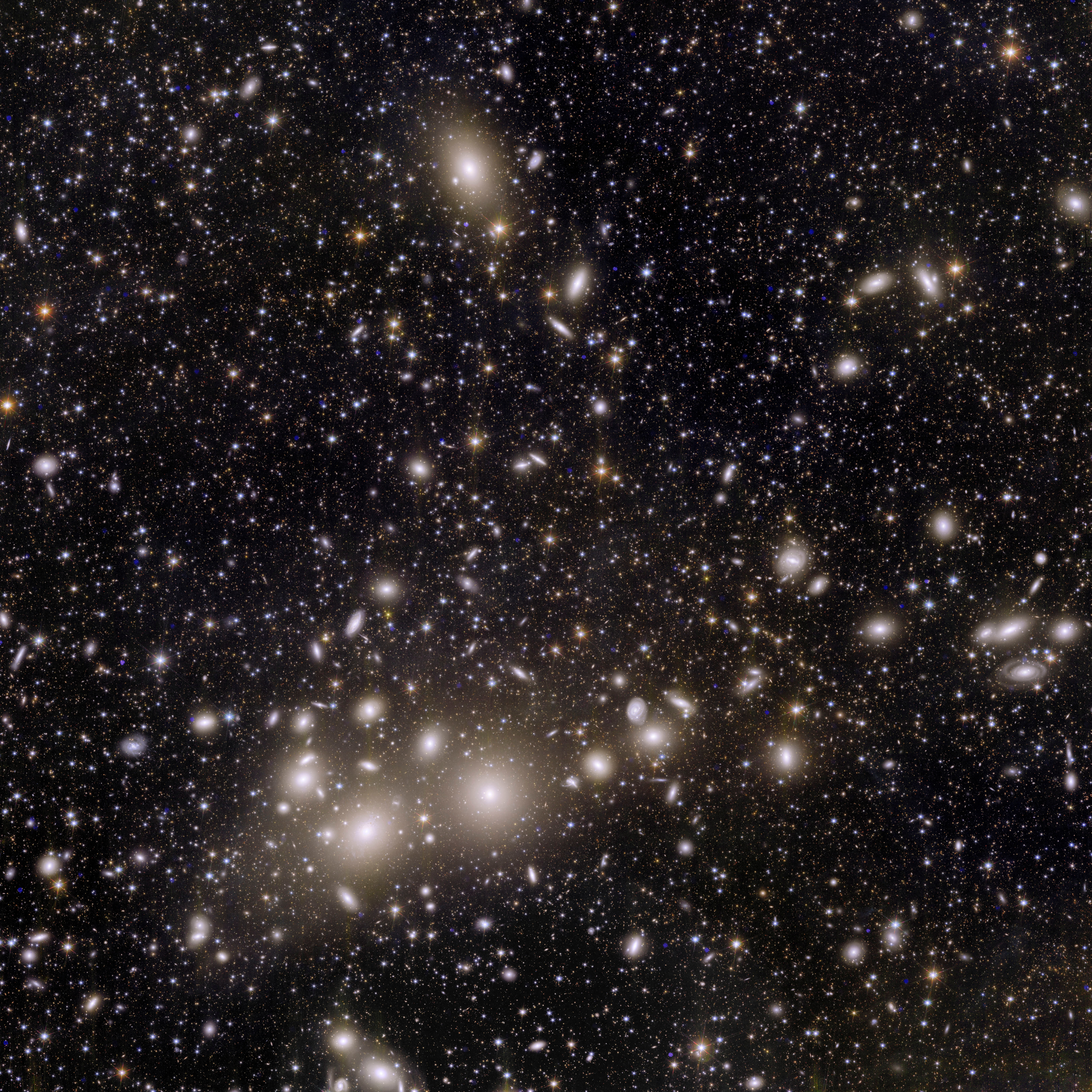 欧州宇宙望遠鏡の画像初公開、2.4億光年先のペルセウス座銀河団など