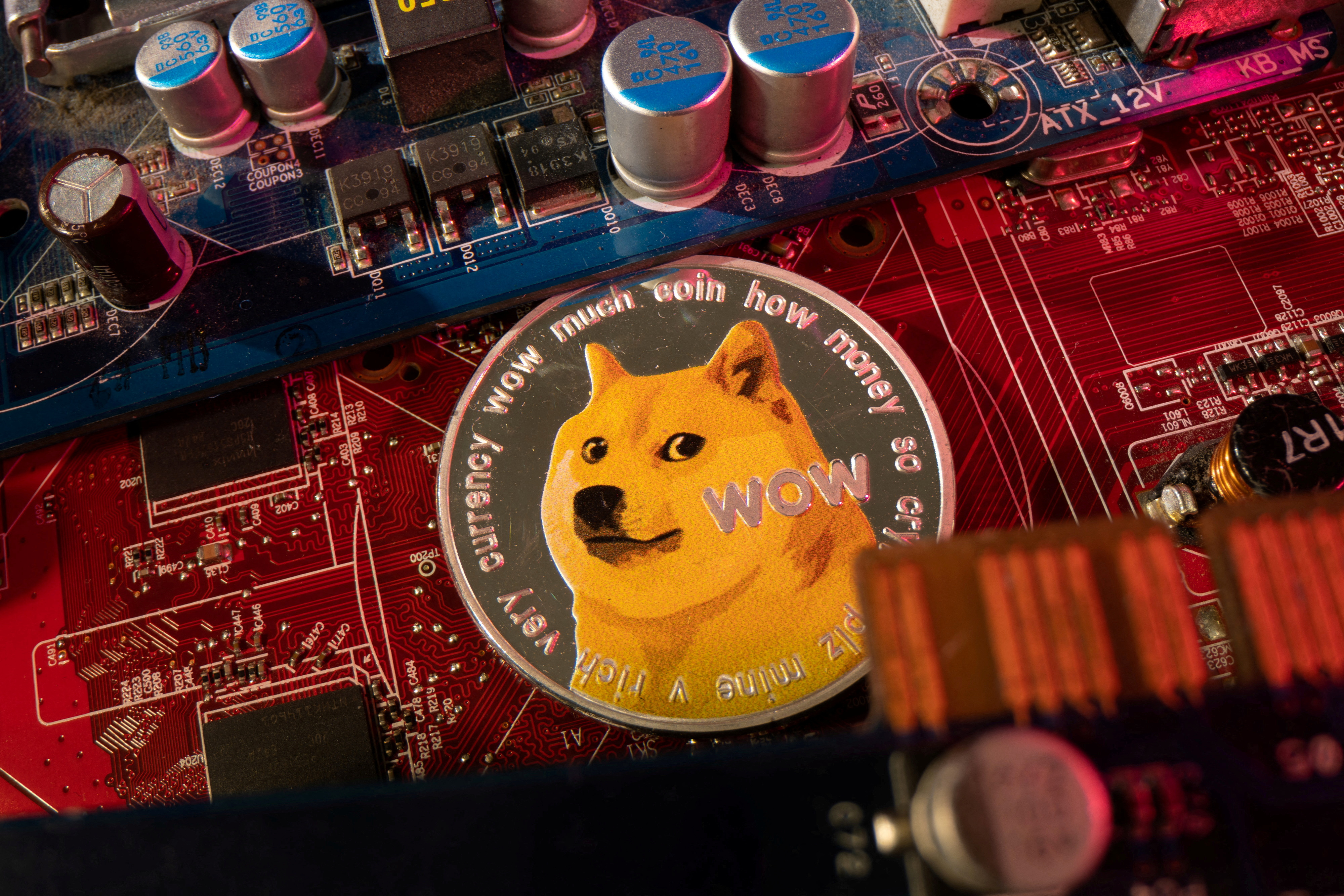 Kabosu, the face of cryptocurrency Dogecoin, dies at 18, owner 