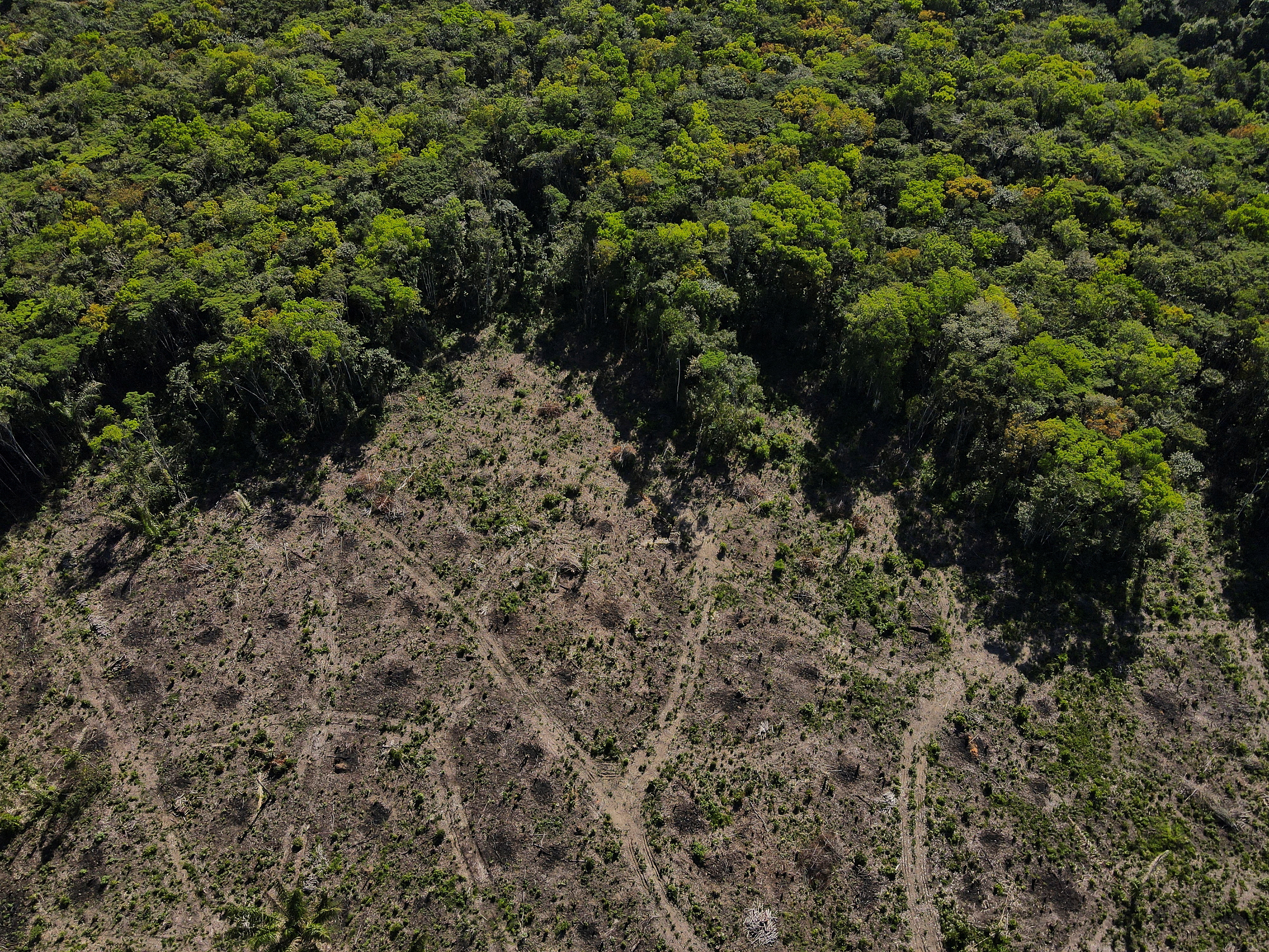 An aerial view shows a deforested plot of the Amazon rainforest in Manaus