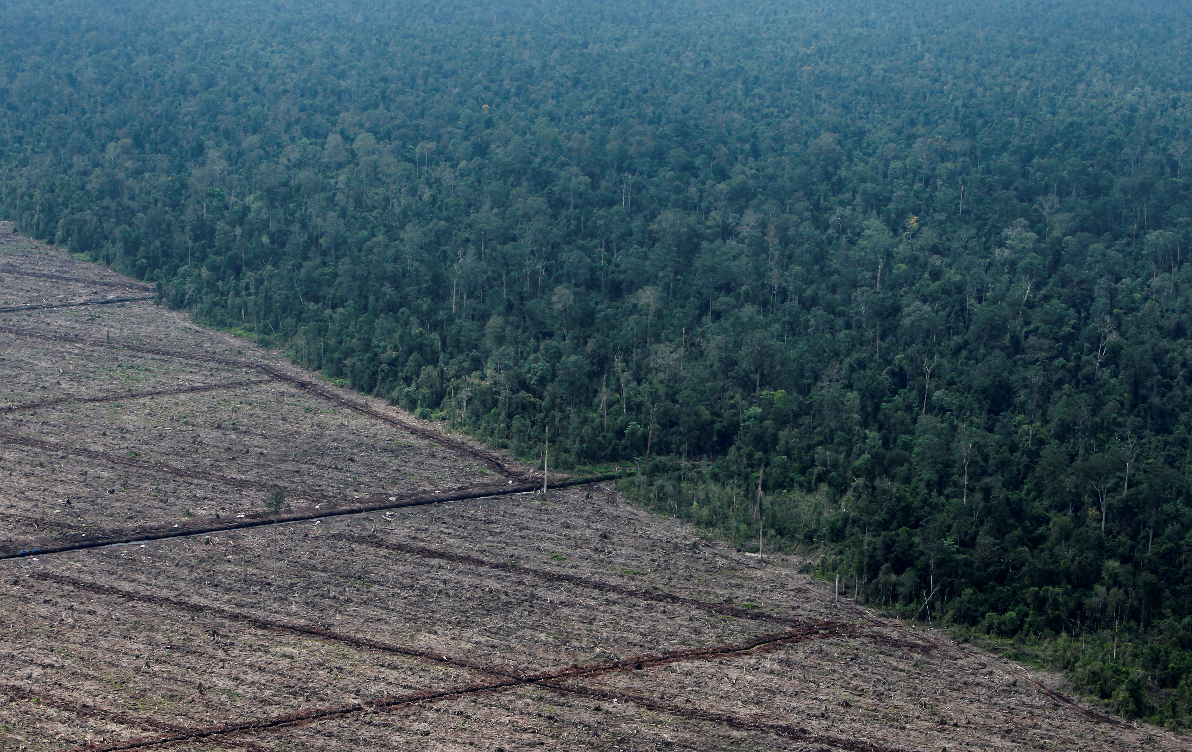 A view of deforestation on Indonesia's Sumatra island