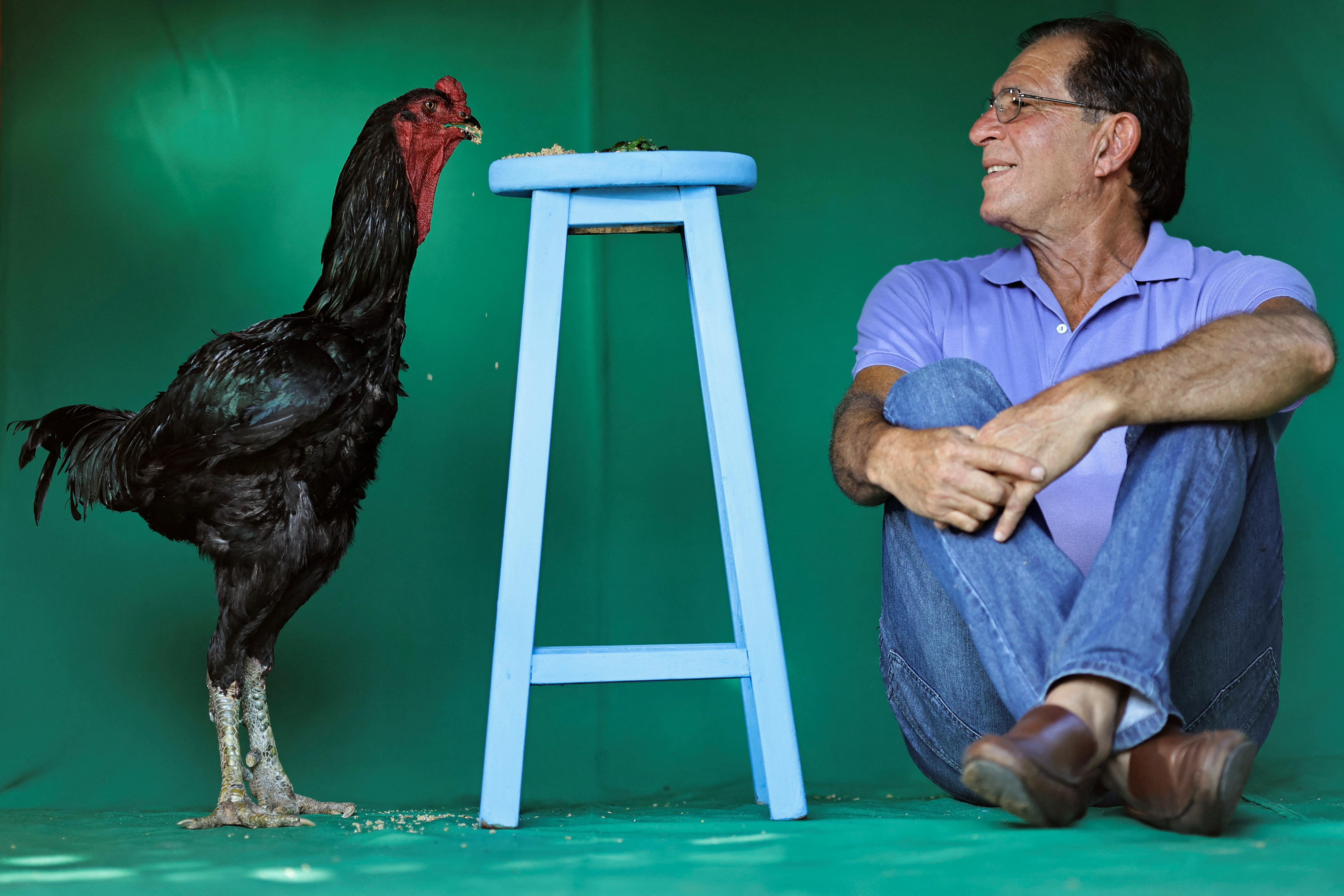 Brazilian farmer's giant rooster hobby hatches into profitable