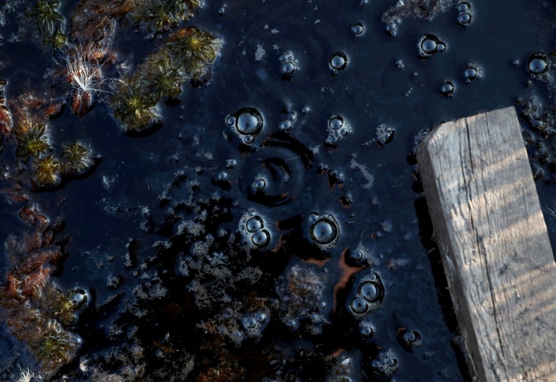 Methane bubbles are seen in an area of marshland at a research post at Stordalen Mire near Abisko