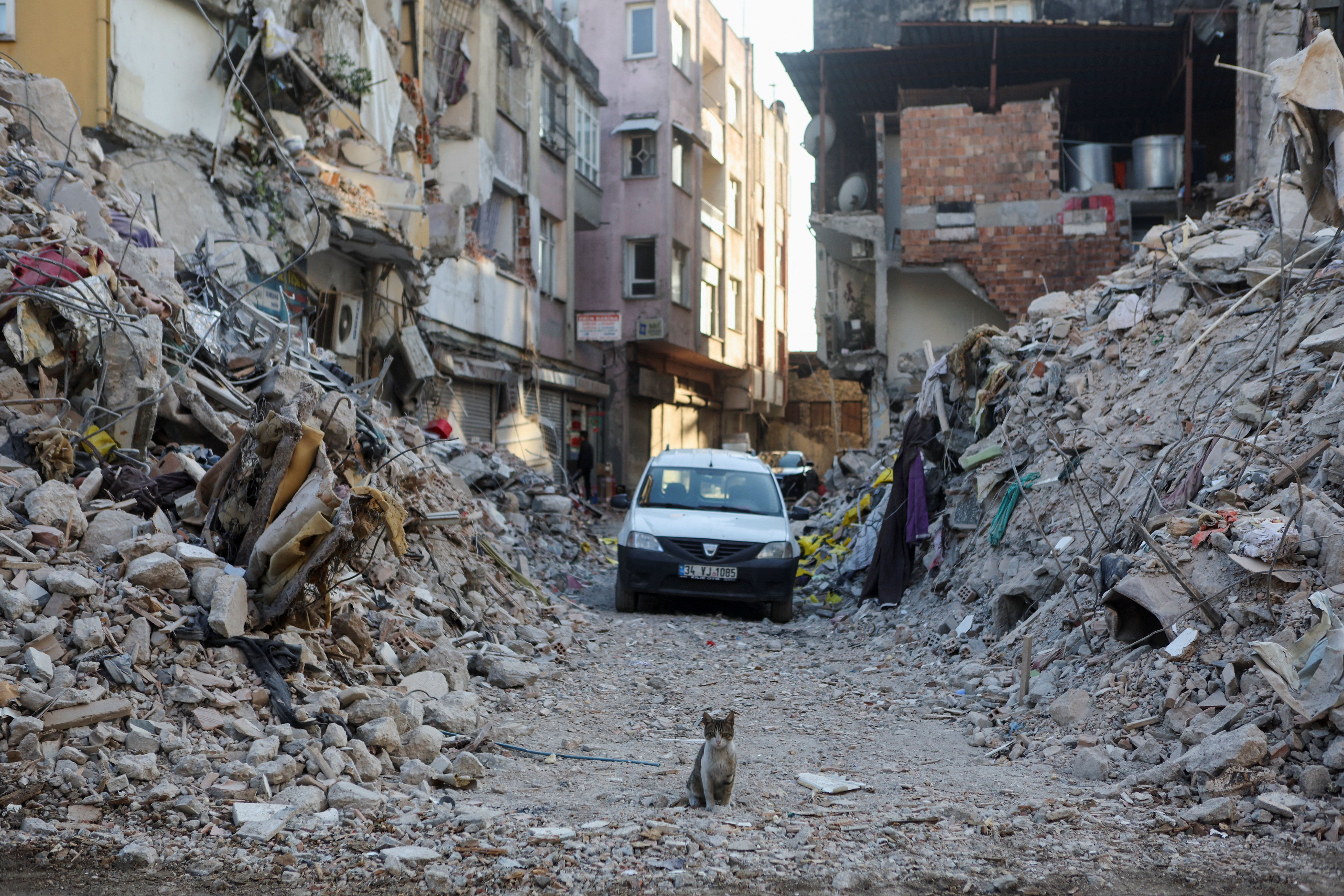 Turkey's Erdogan boasted of letting builders evade earthquake codes in 2019  : NPR