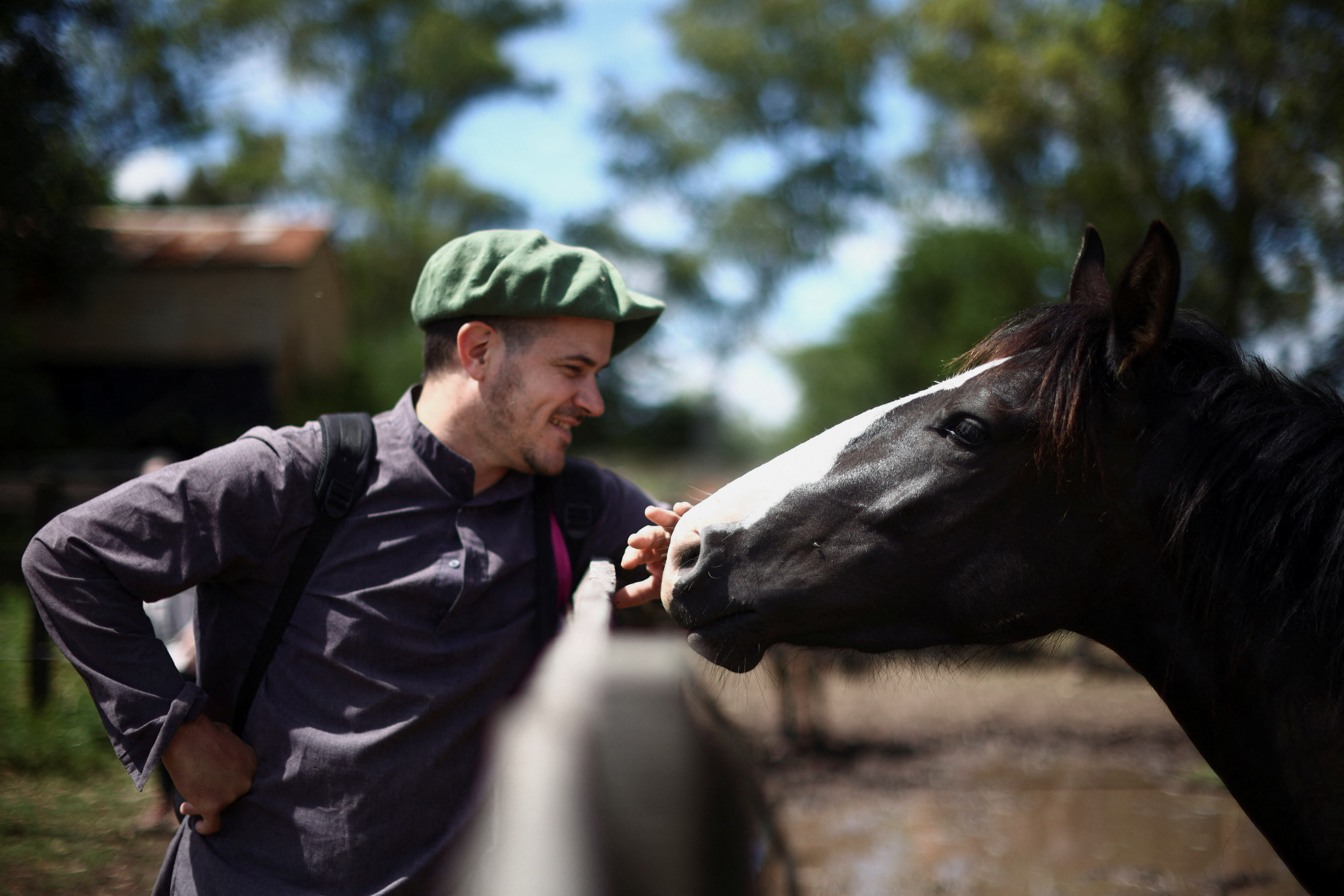 In Argentina, land of the gaucho, a home for unloved old horses