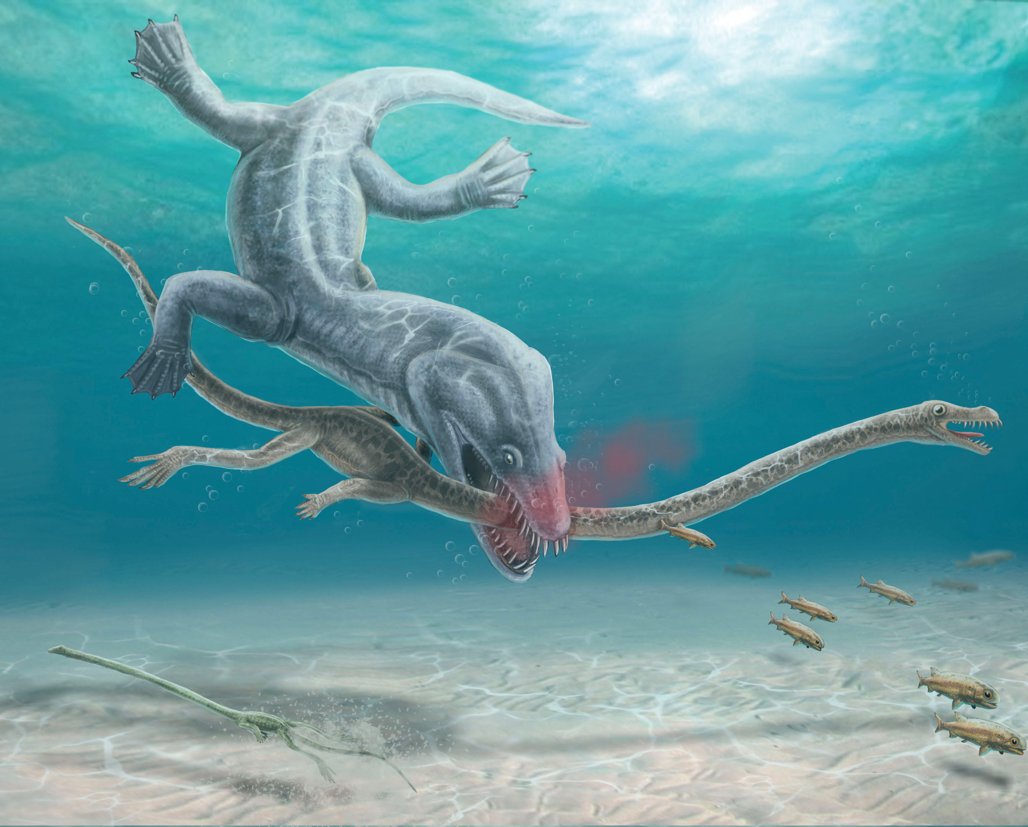 Prehistoric Aquatic Mammals