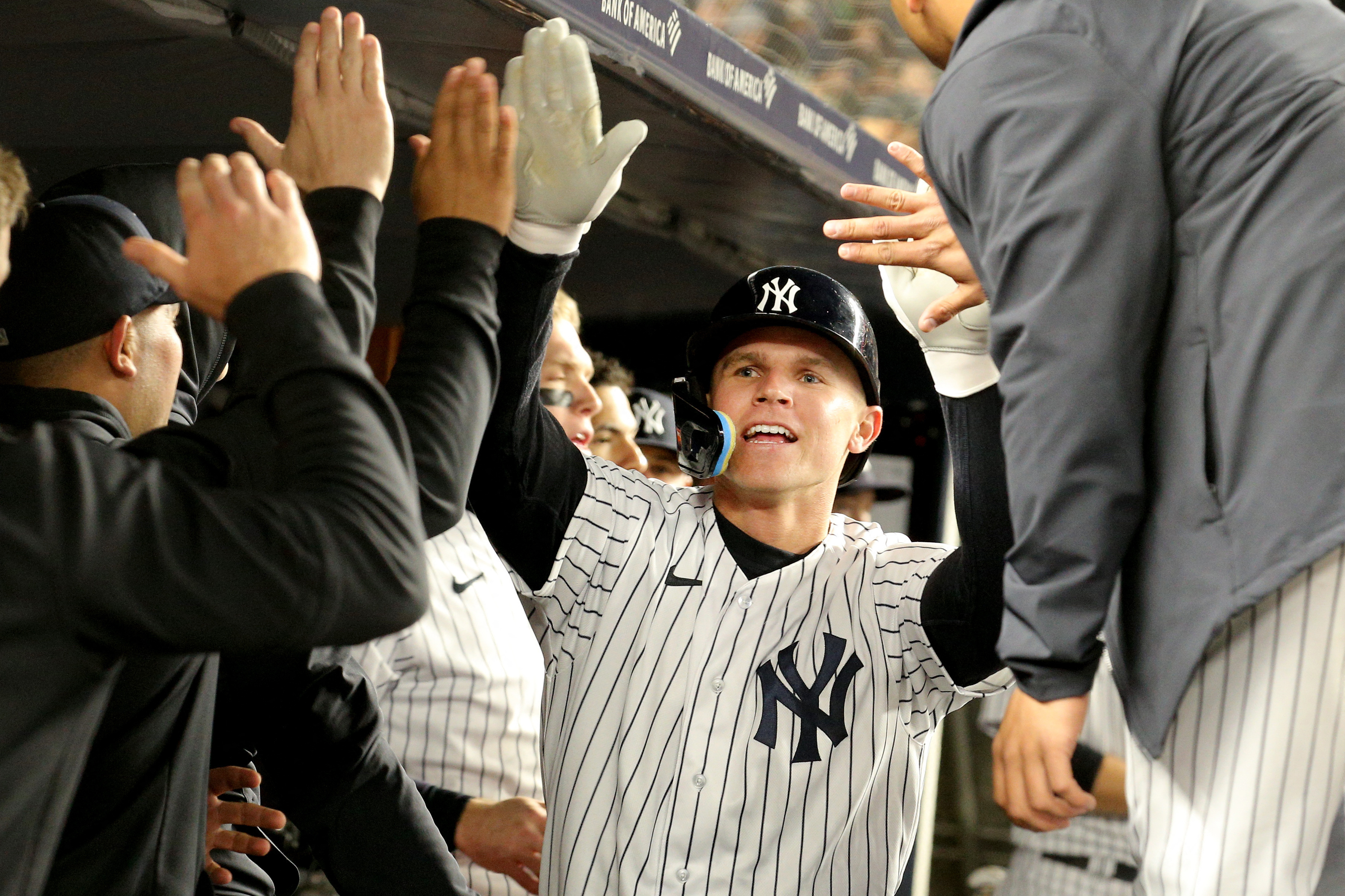 Anthony Rizzo's Scolding Of Higashioka Reflects 2023 Yankees