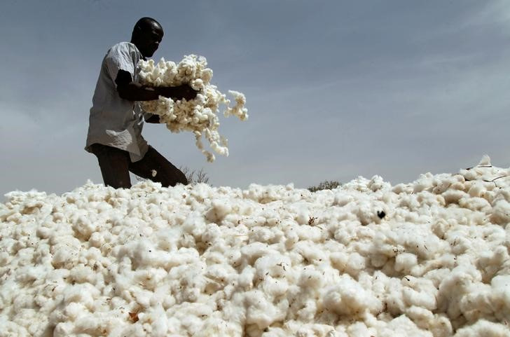 Un agricultor trabaja en un campo de algodón en la aldea de Kongolekan cerca de Bobo-Dioulasso