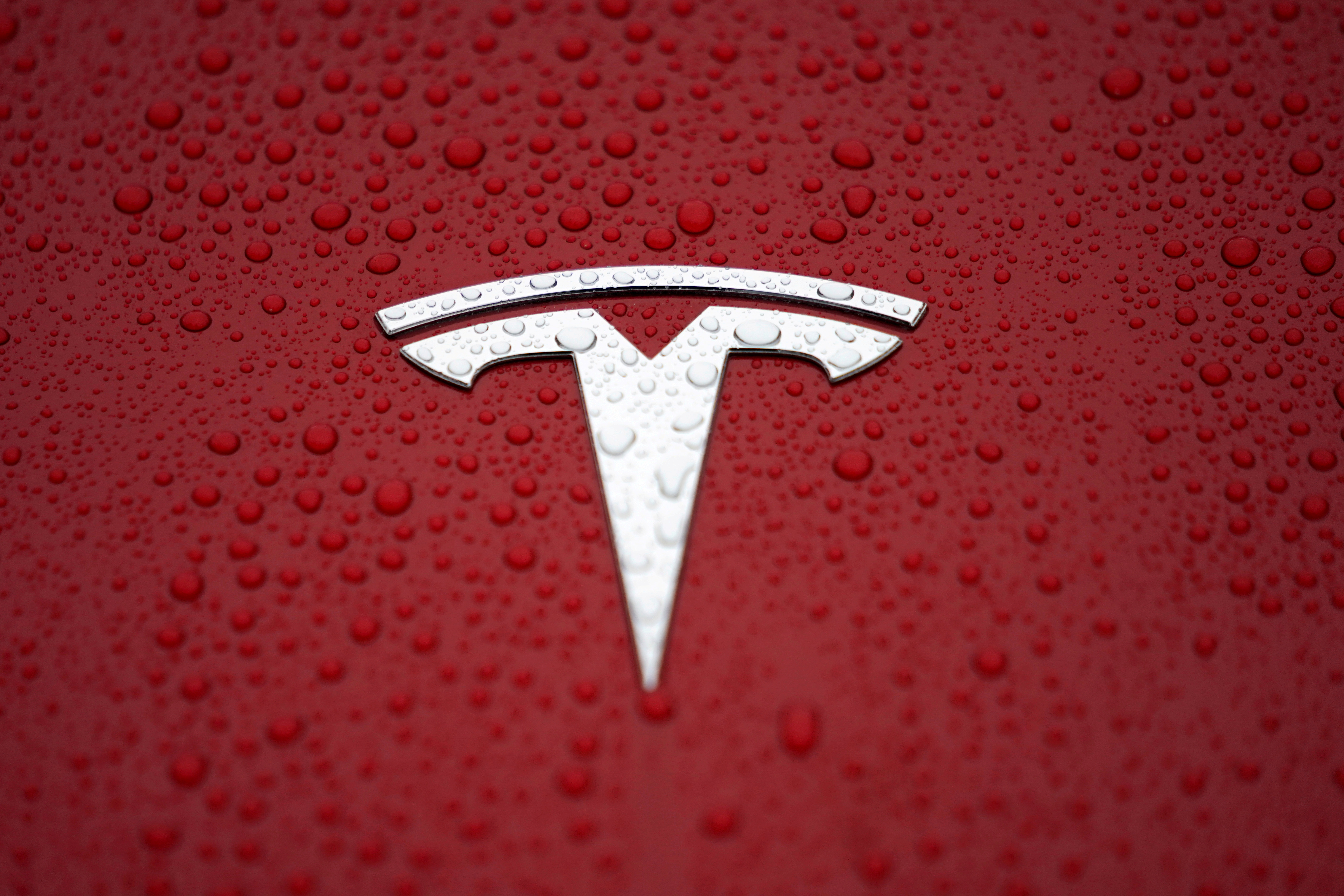A Tesla logo is seen at the Tesla Shanghai Gigafactory in Shanghai, China January 7, 2019. REUTERS/Aly Song