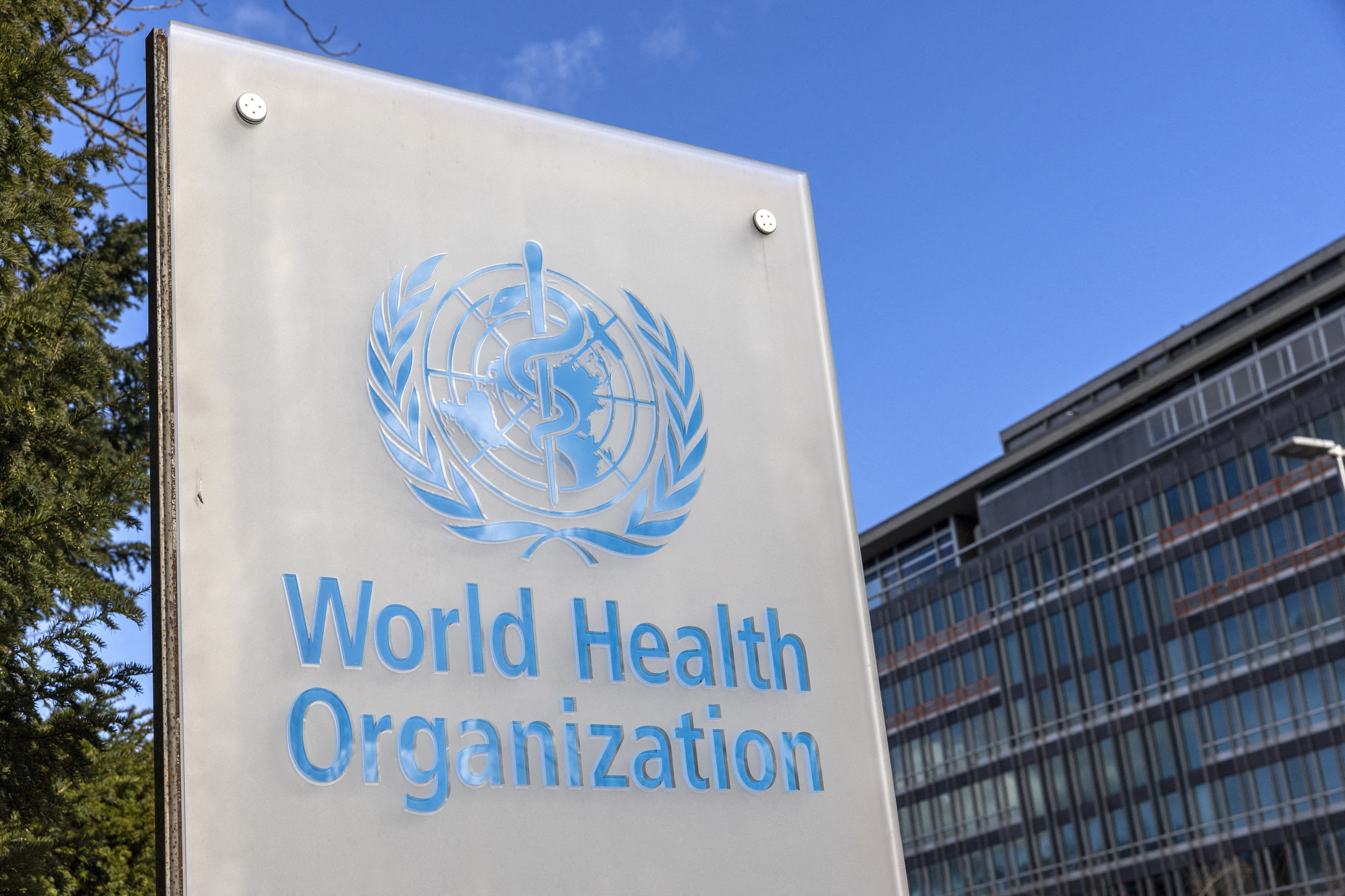 Coronavirus: World Health Organisation tells people to stay at