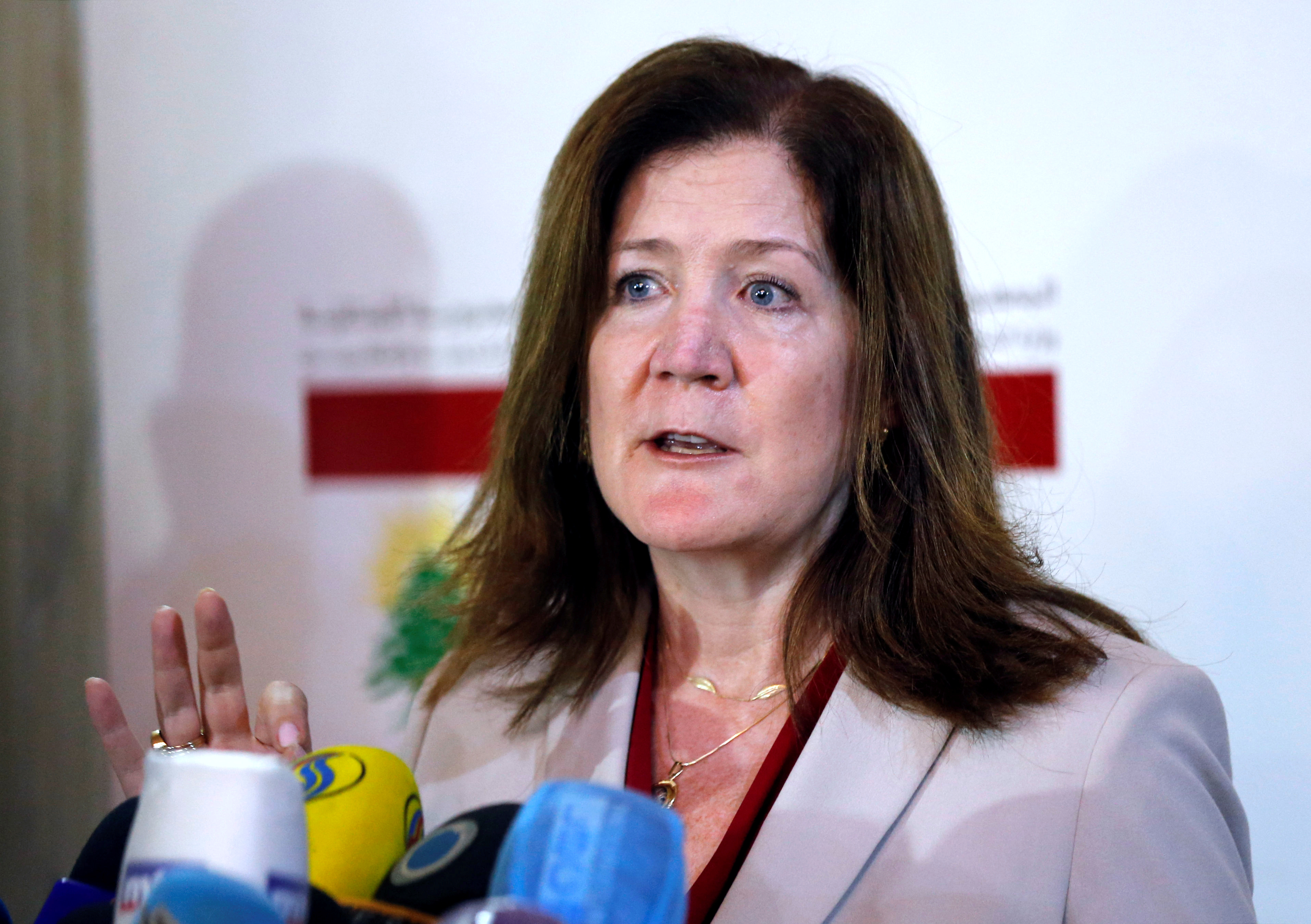 U.S. Ambassador to Lebanon Shea speaks during a news conference after meeting with Lebanon's Foreign Minister Hitti in Beirut