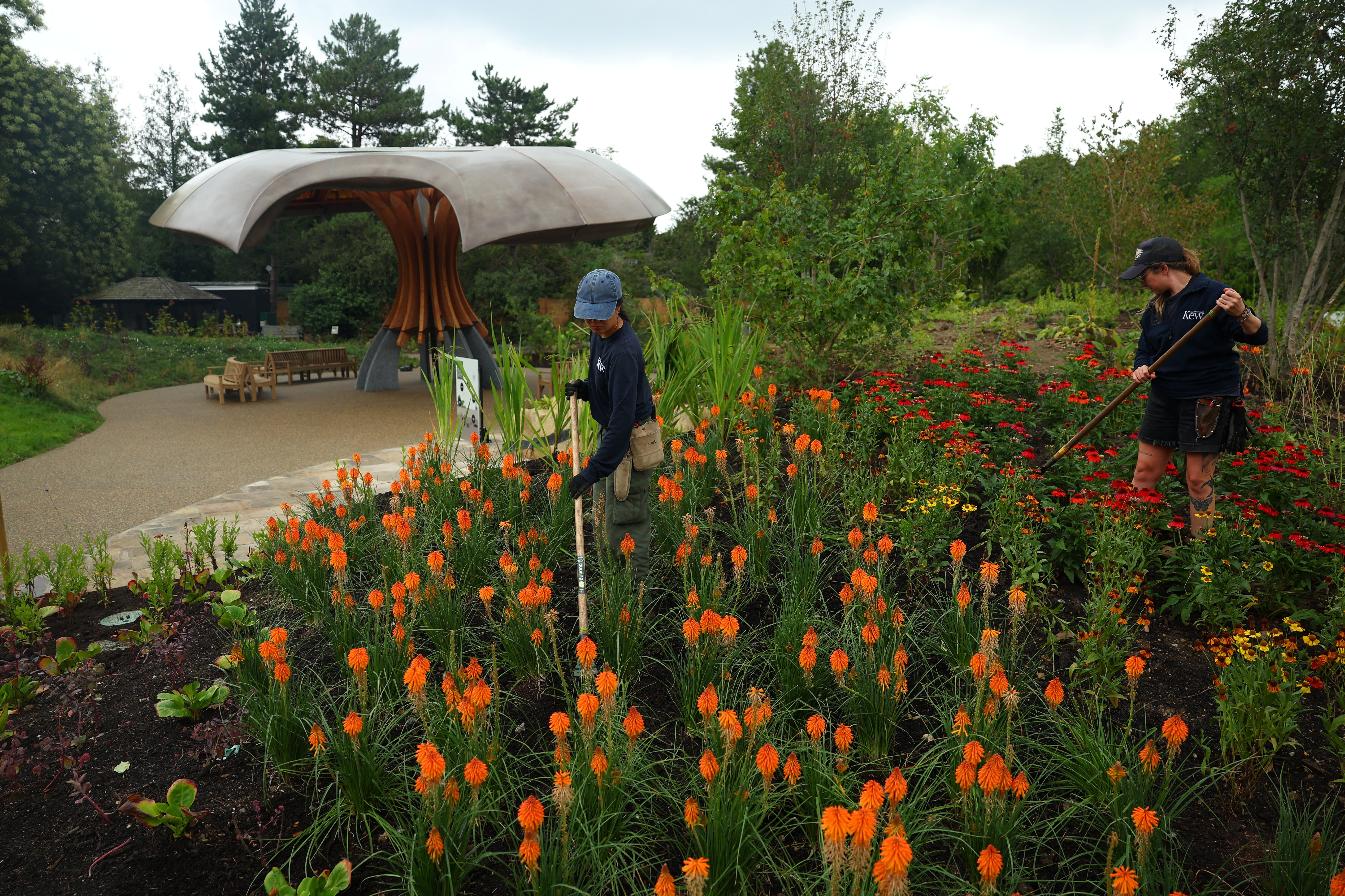 London's Kew Gardens opens carbon garden to highlight climate