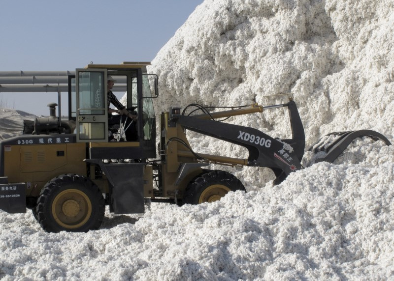 A worker moves freshly harvested cotton at a processing plant in Aksu