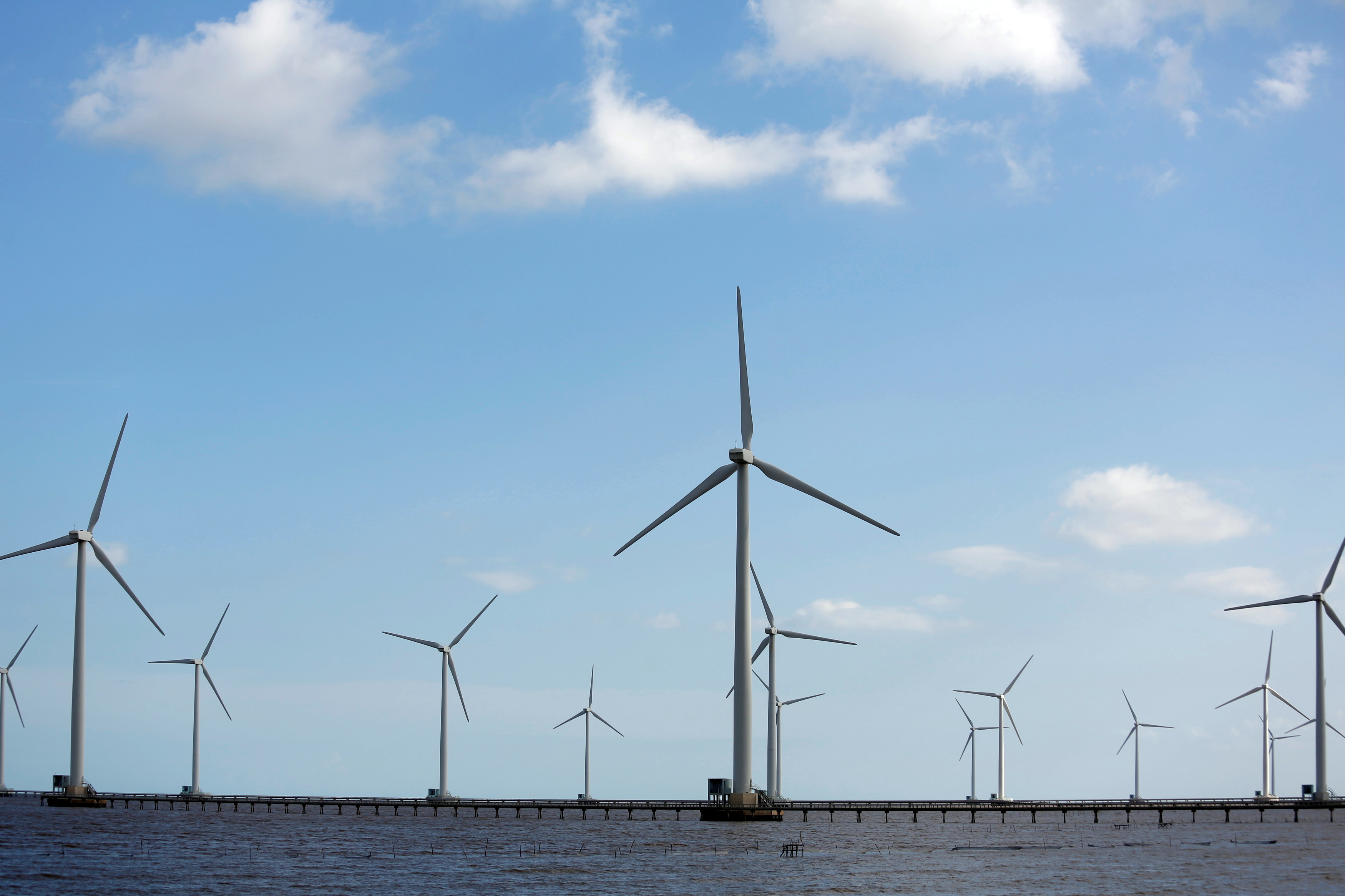 Power-generating windmill turbines are pictured at a wind park in Bac Lieu province