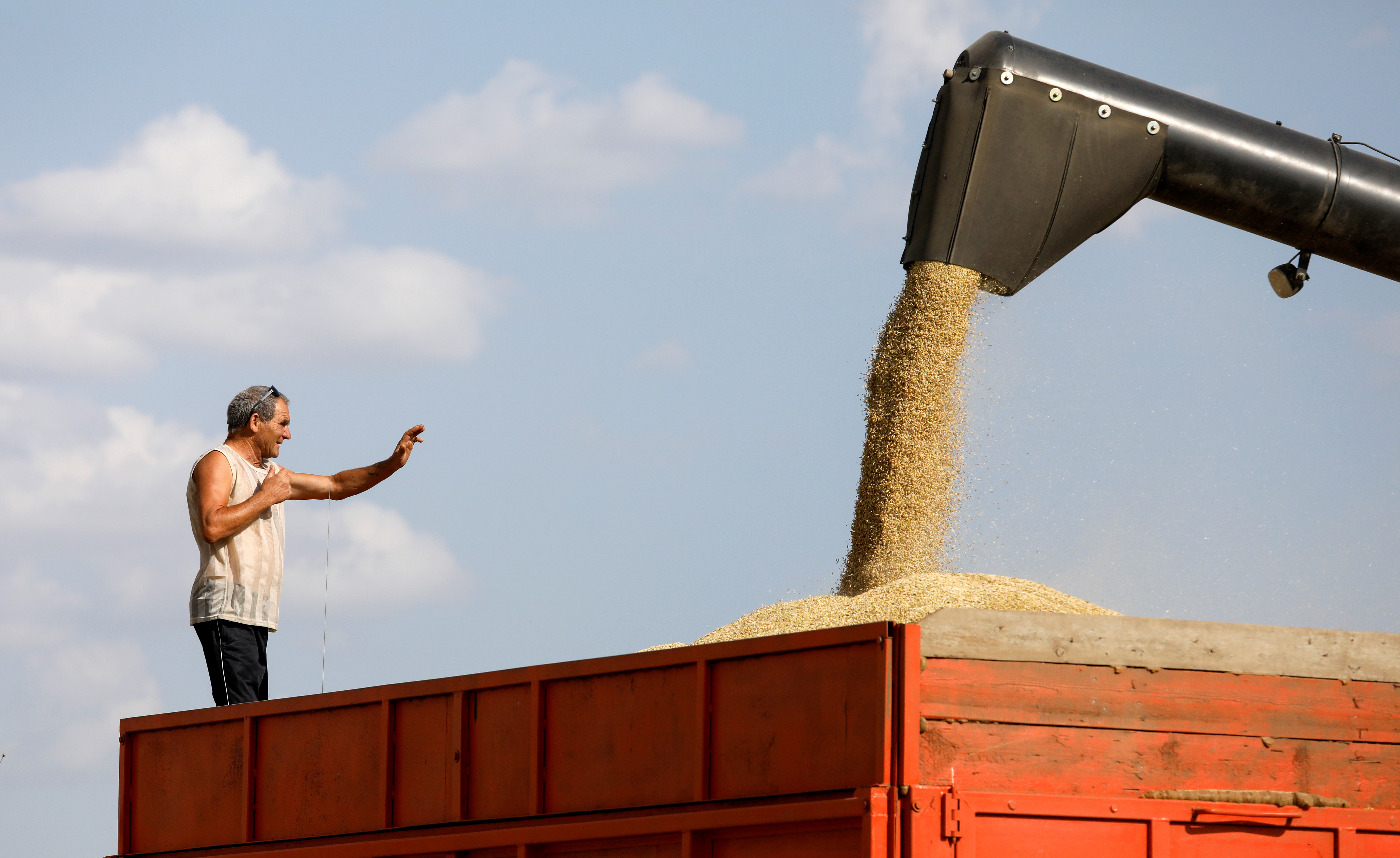 A combine loads a truck with grain in a field in Stavropol Region