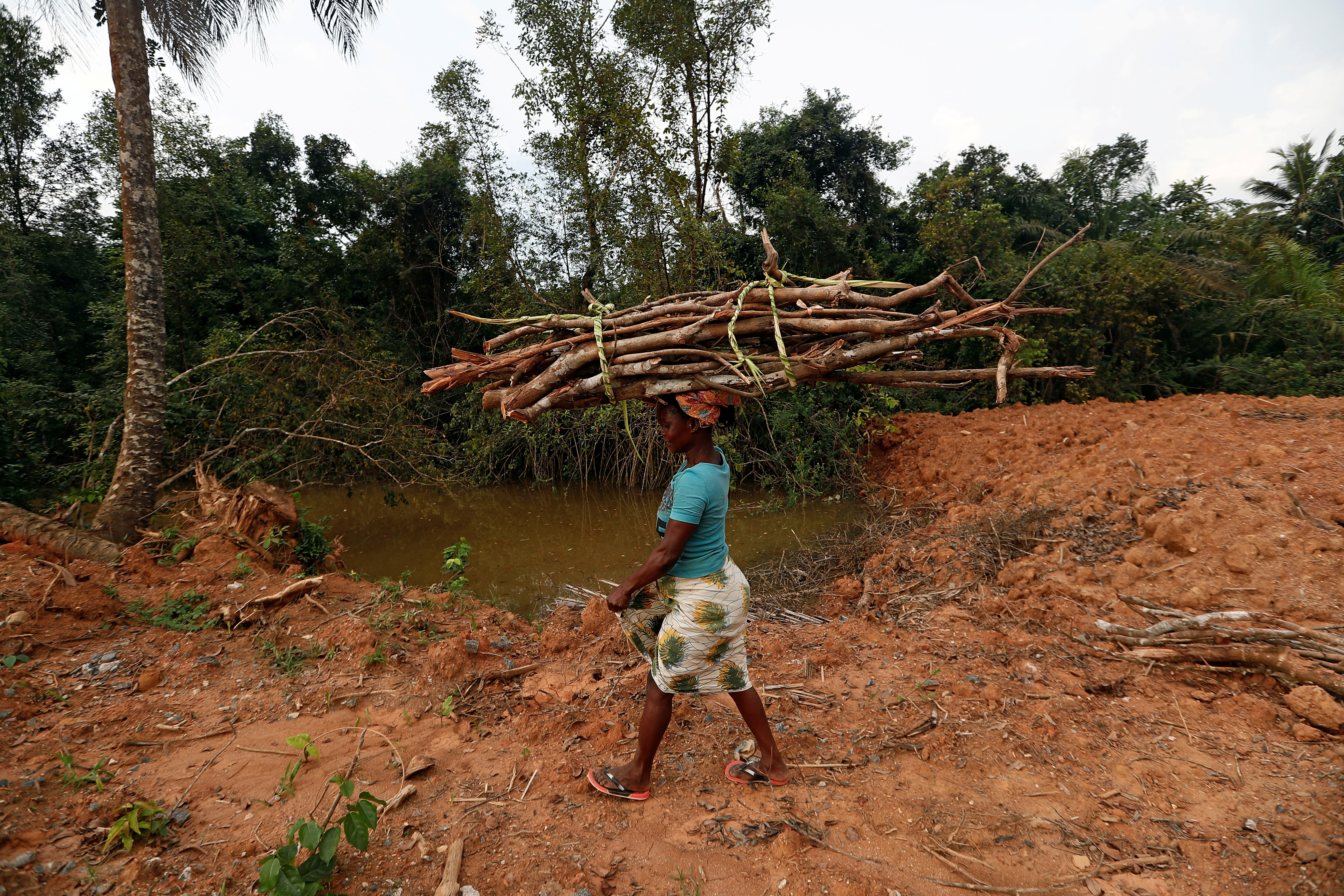 A woman carries firewood next to a stream polluted by gold mining waste in Nsuaem district