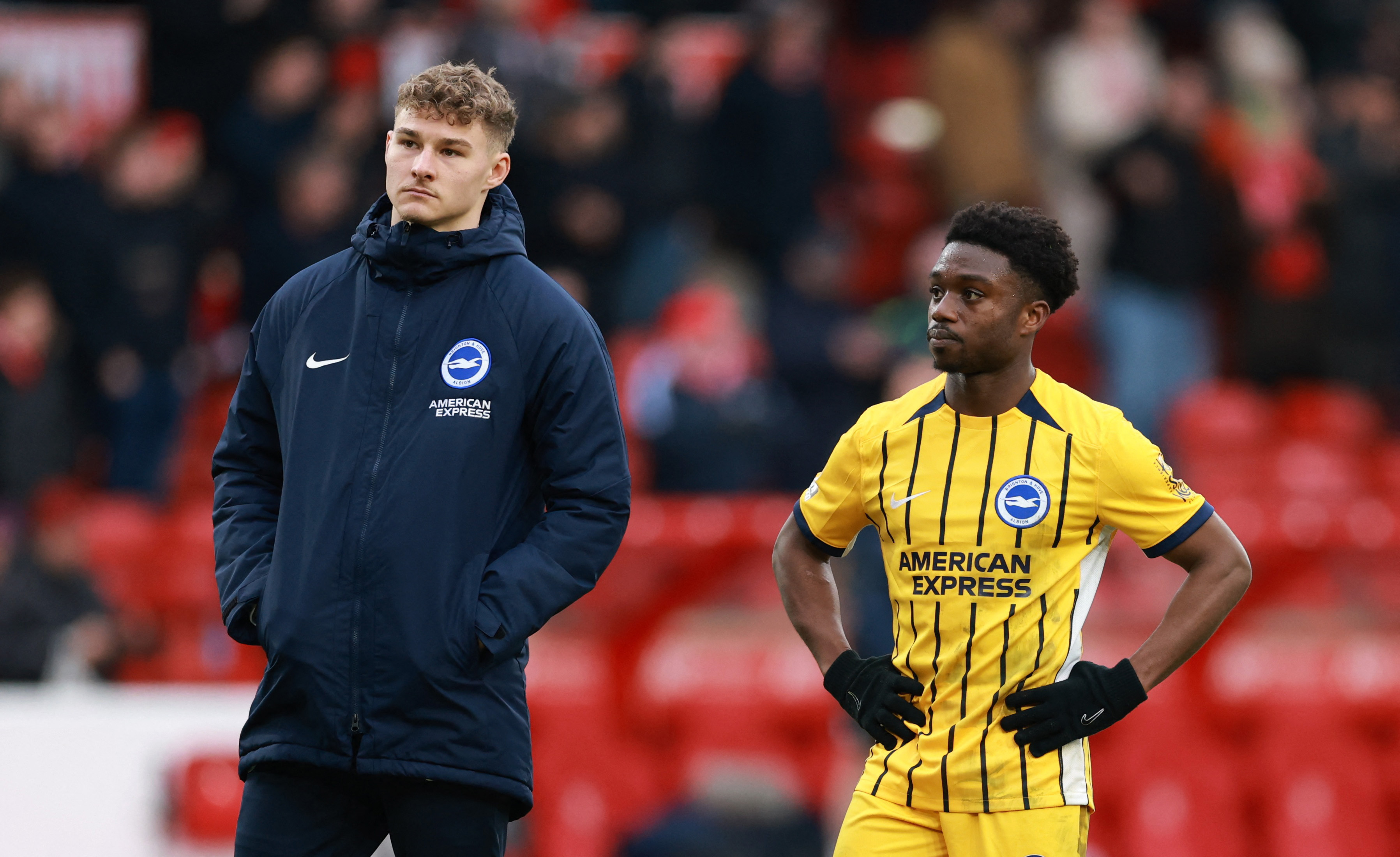 Fantastic Forest thrash Brighton 7-0 helped by Wood hat-trick