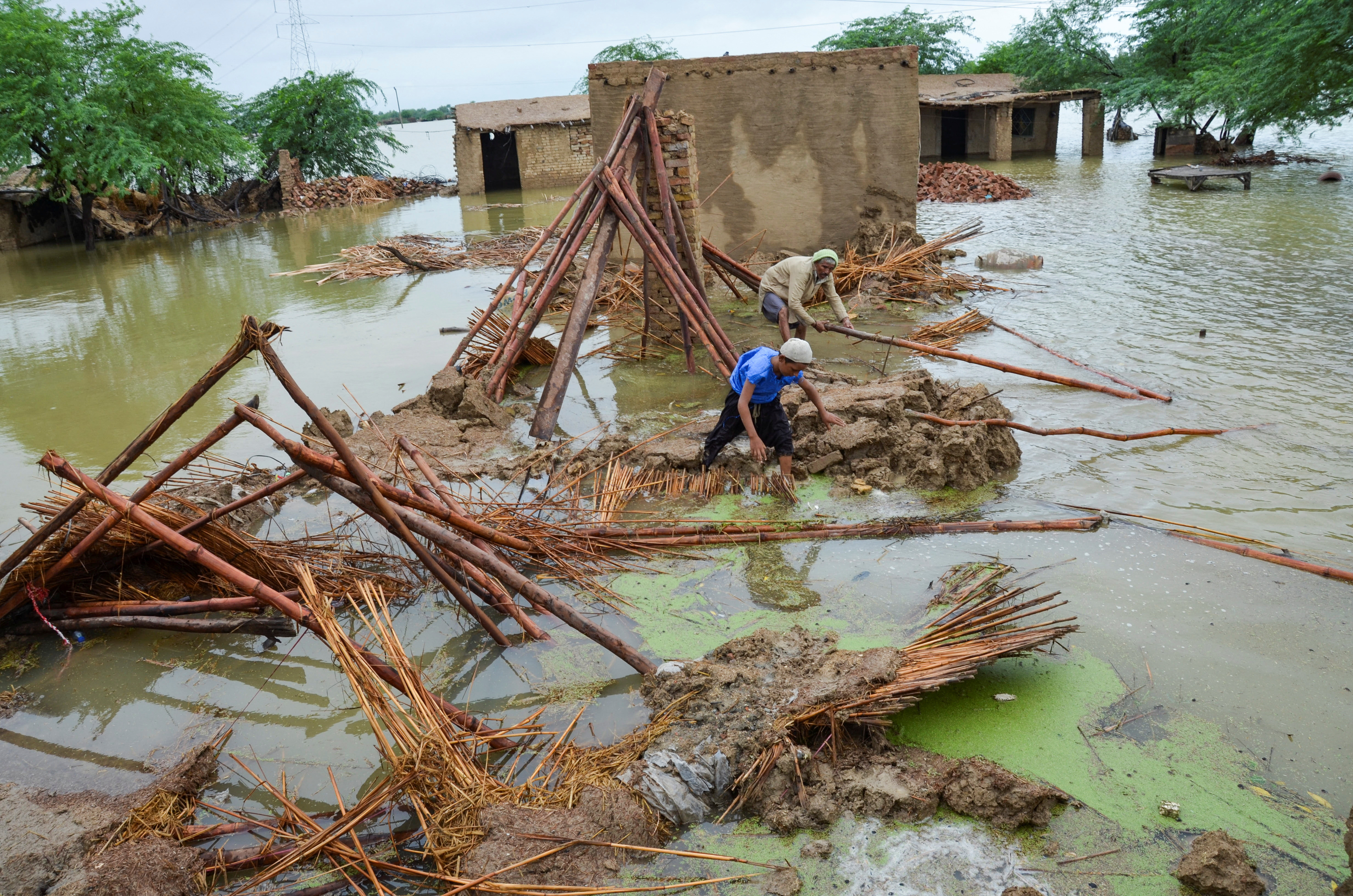 People retrieve bamboos from a damaged house following rains and floods during the monsoon season in Dera Allah Yar