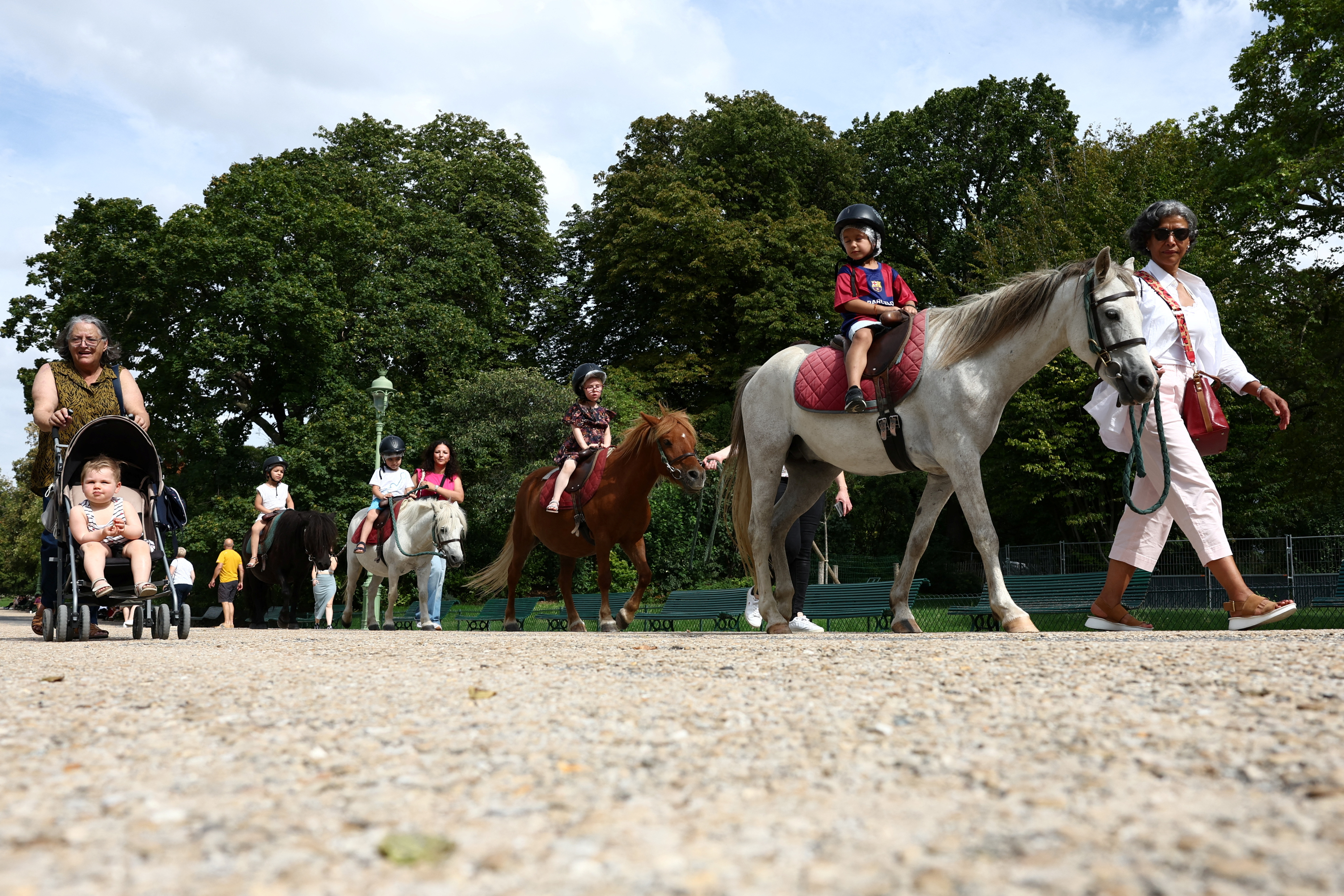 Paris bans pony rides for children in public parks