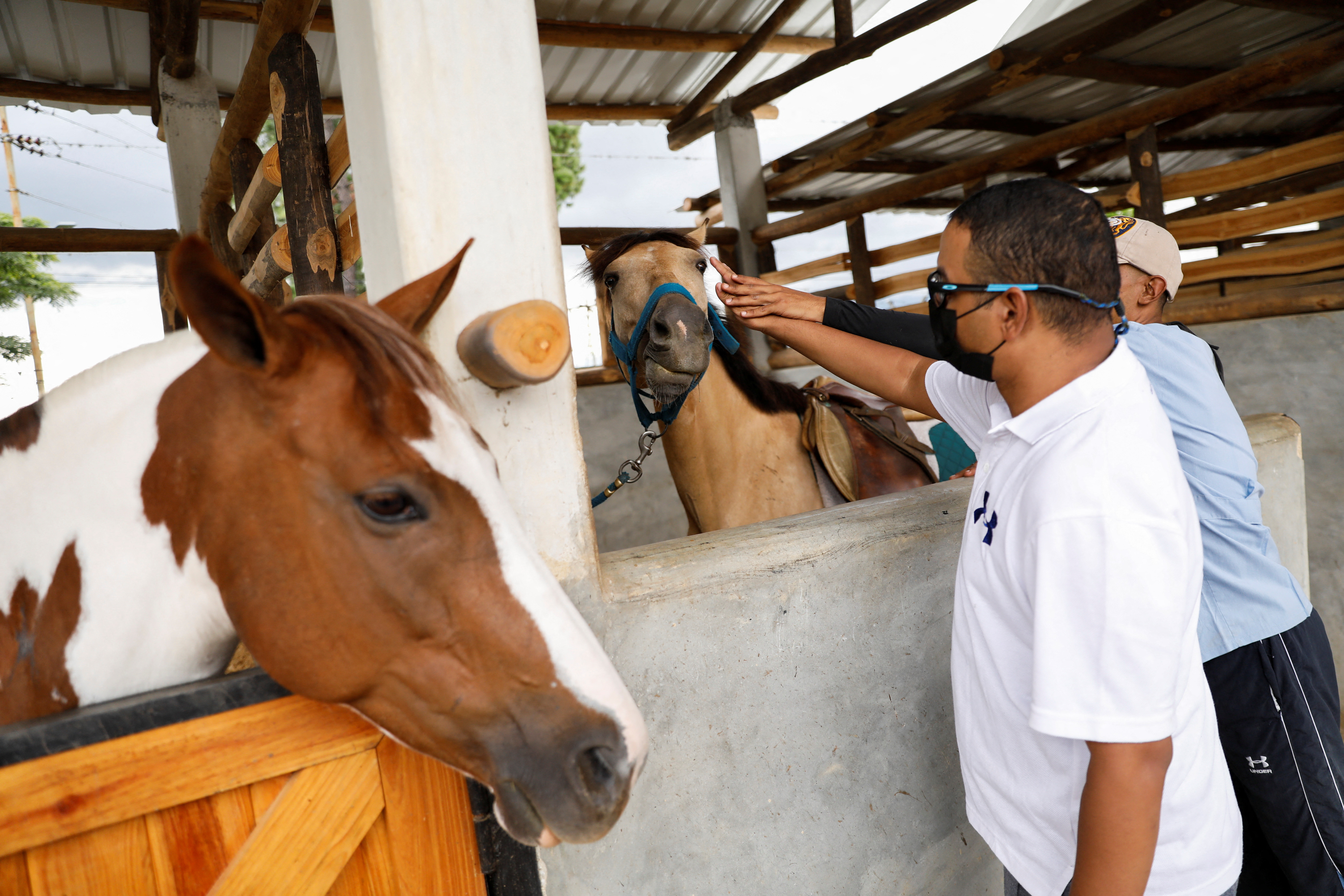 Equine therapy to less well-off impaired patients, in Caracas
