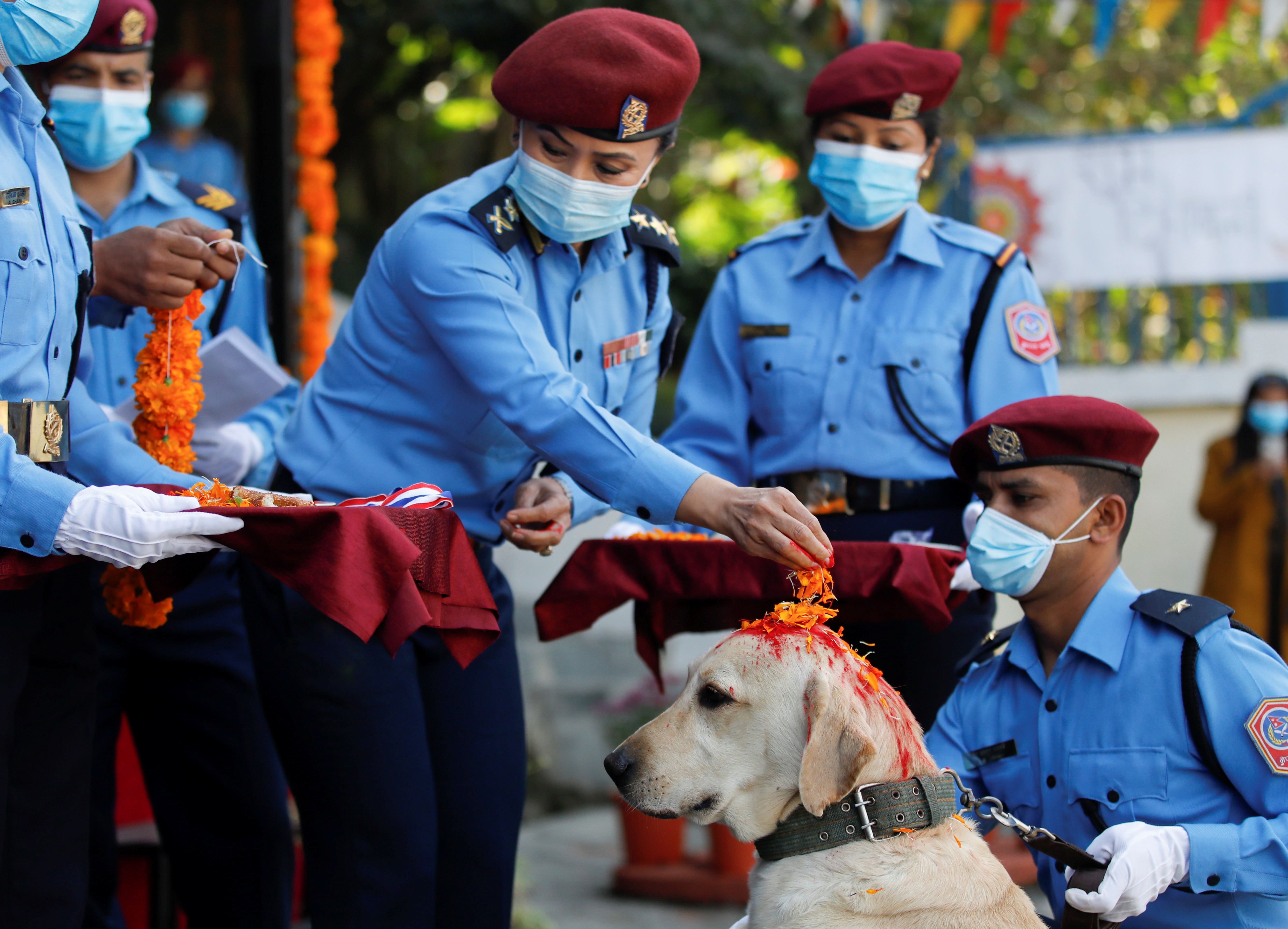 Baths, garlands for man's best friend at Nepal's canine festival