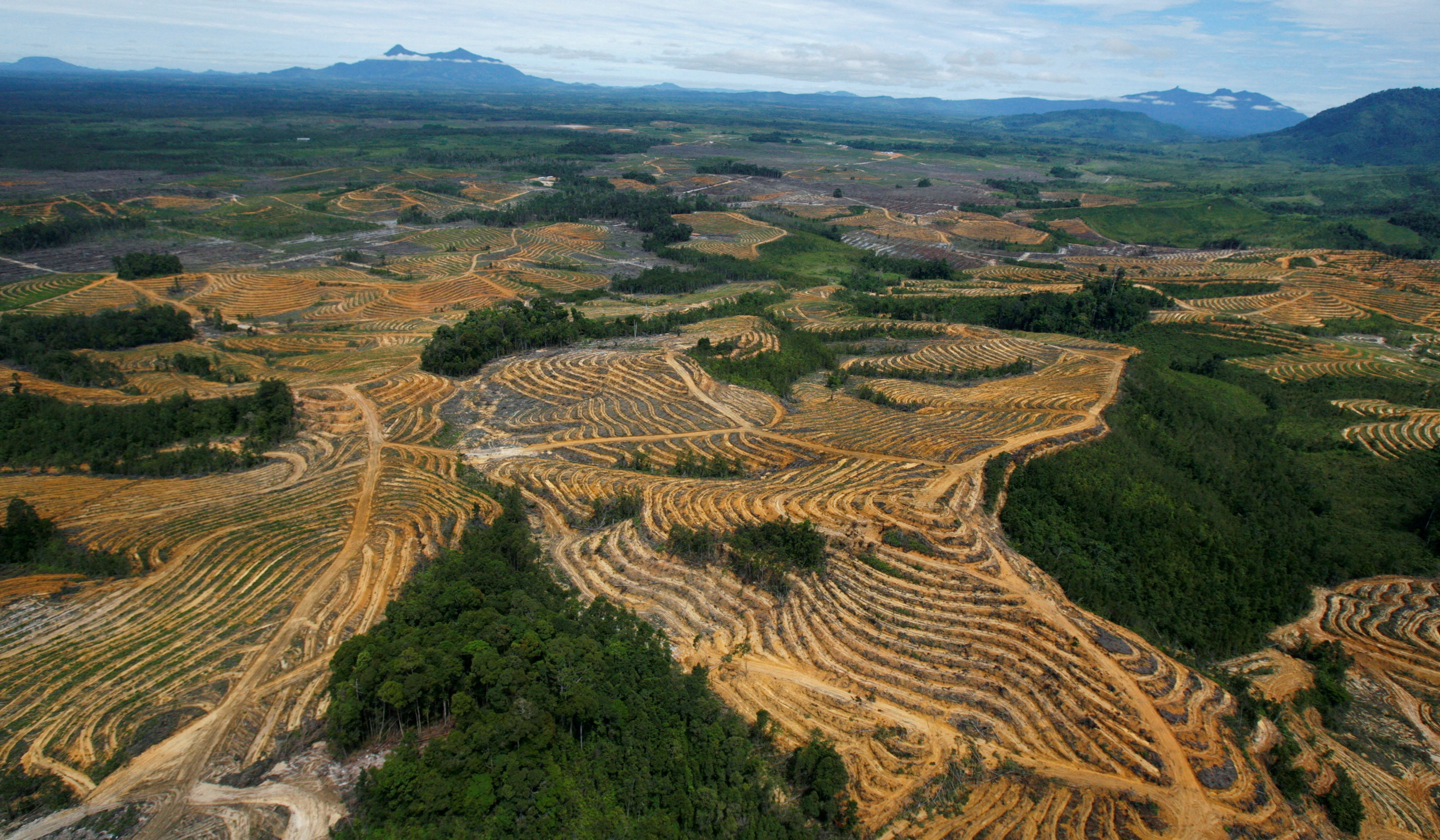 An aerial view is seen of a cleared forest area under development for palm oil plantations in Kapuas Hulu district of Indonesia's West Kalimantan province